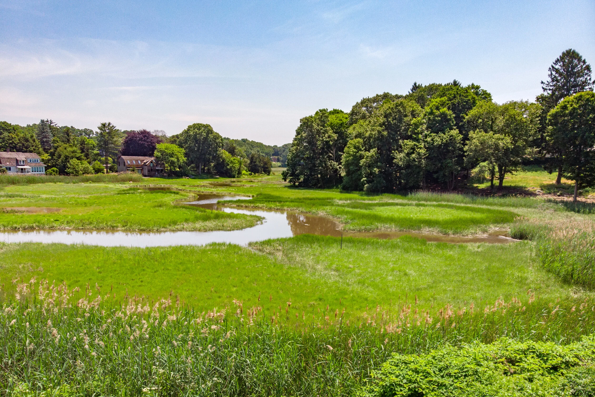 DJI_0229.jpg