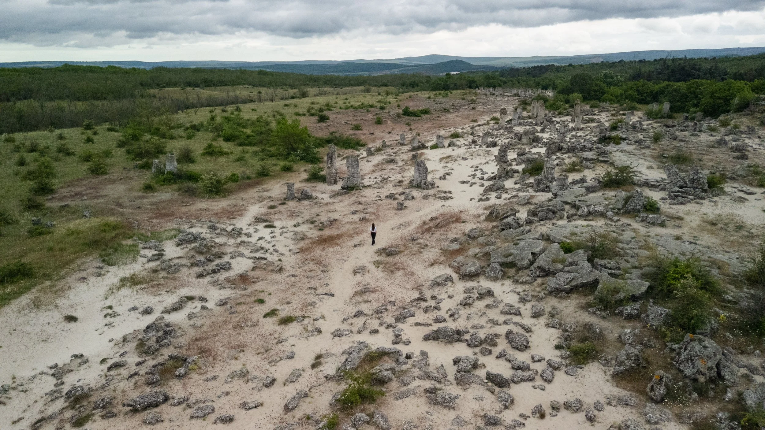 DJI_20260521161701_0228_D.jpg