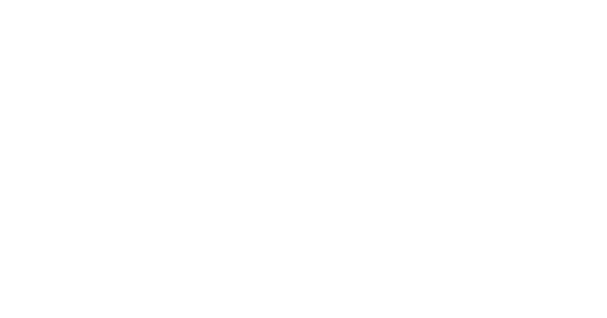radisson group.png