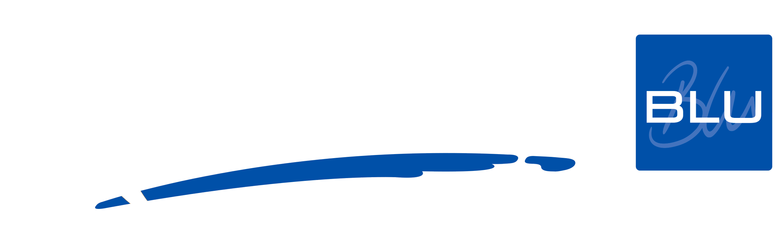 radisson blu.png
