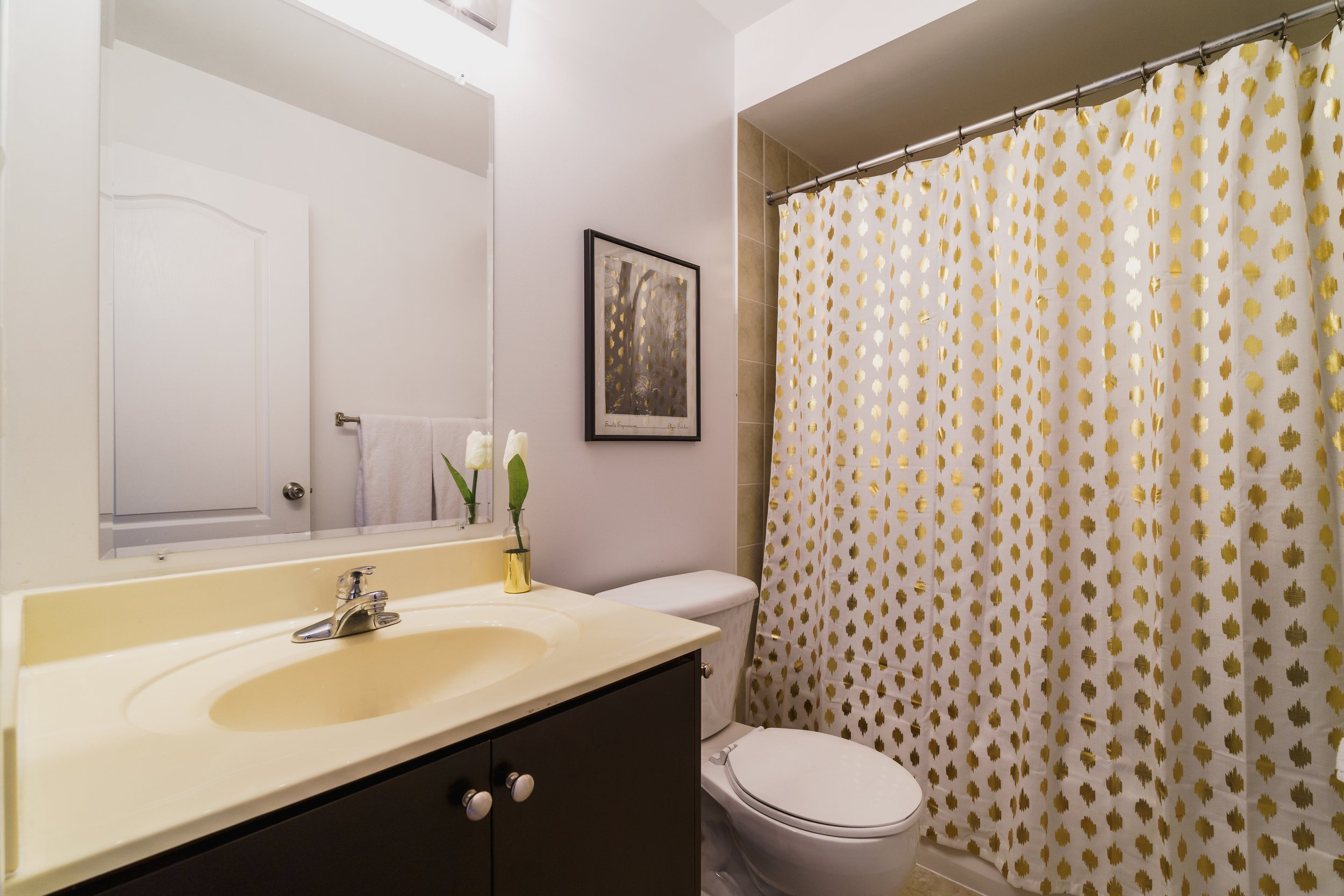 Frameless046.jpg