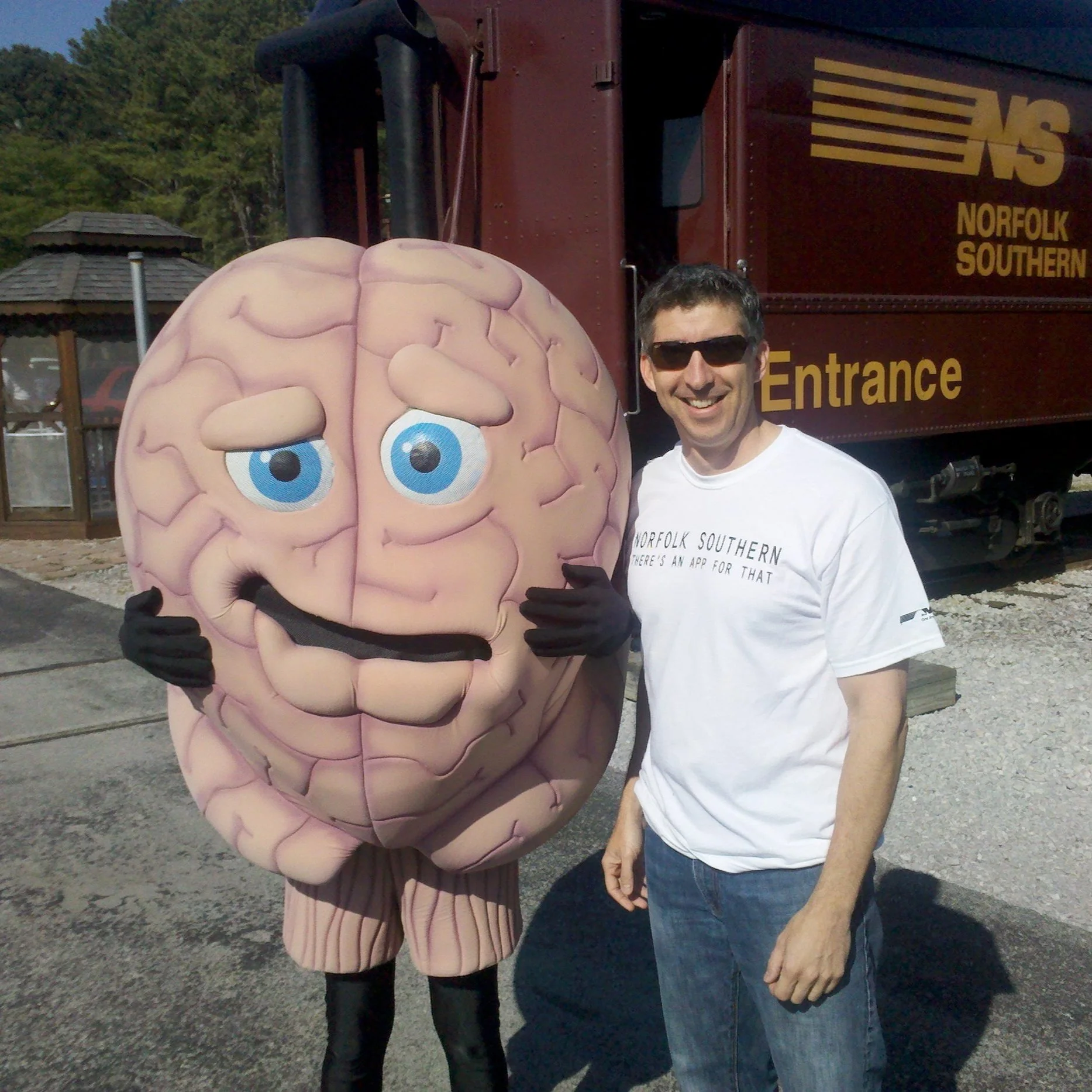 NSBrainy.jpg