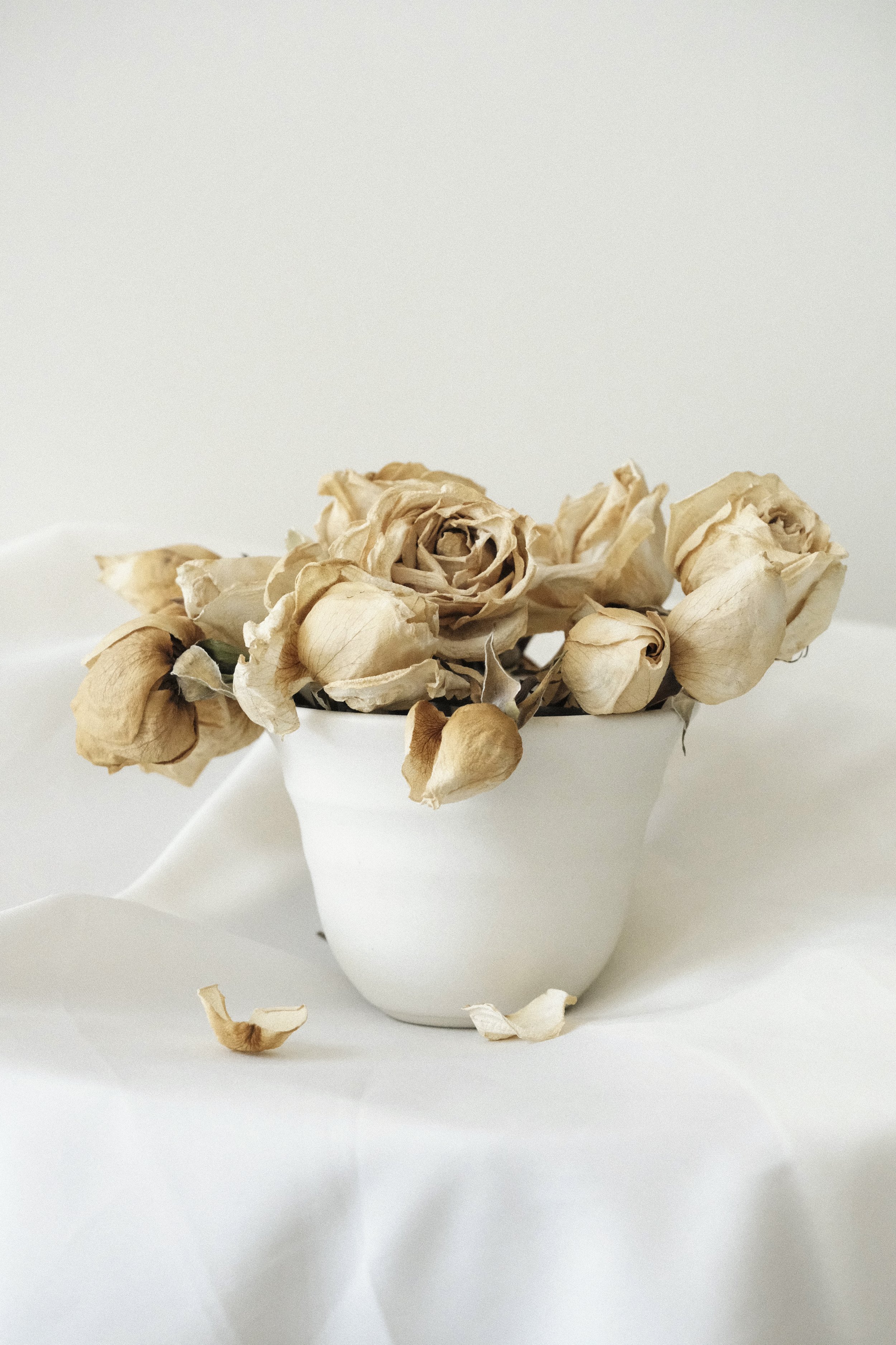Small Porcelain Vase 01.jpg