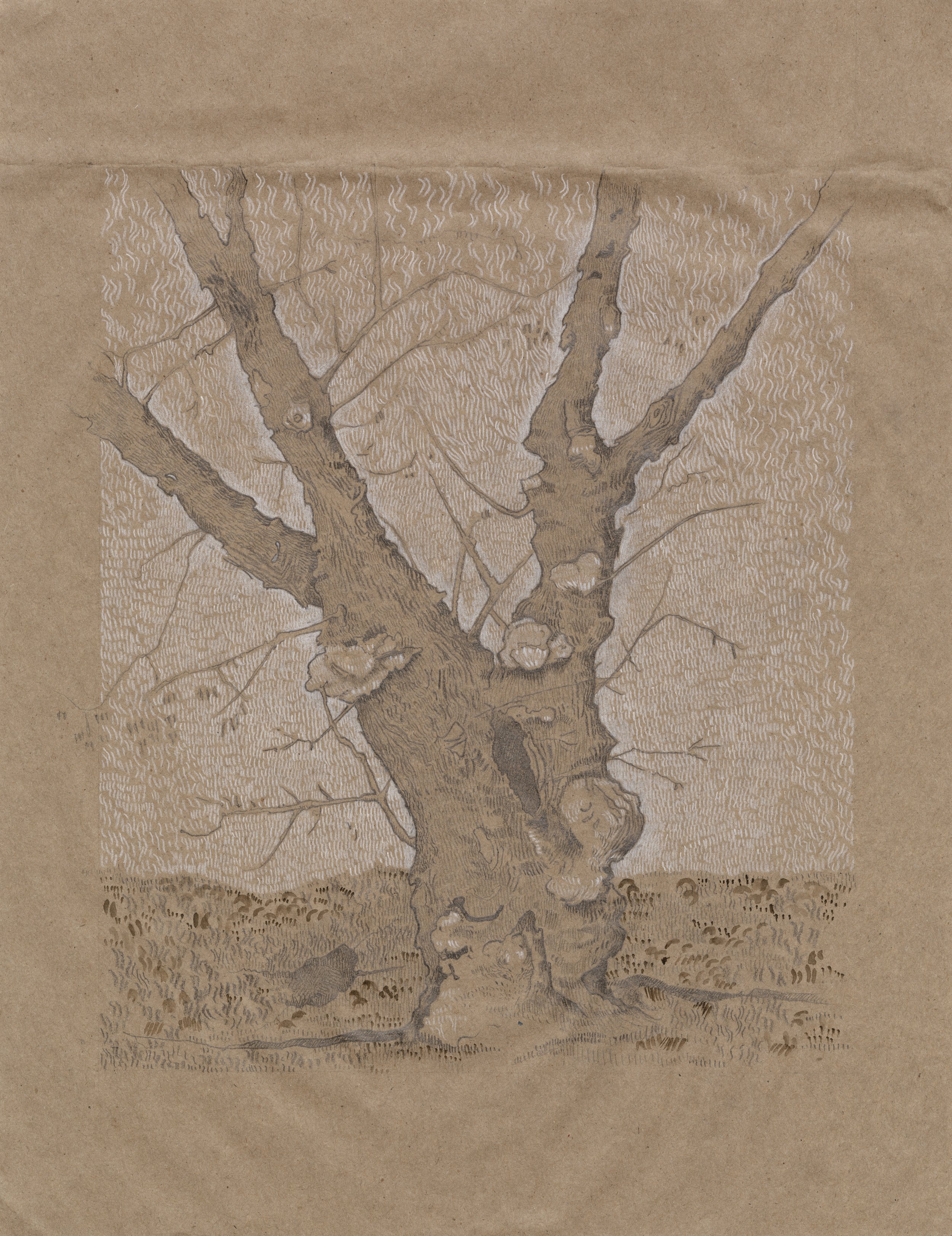 Tree of Edmonton Drawing_scan 02.jpg
