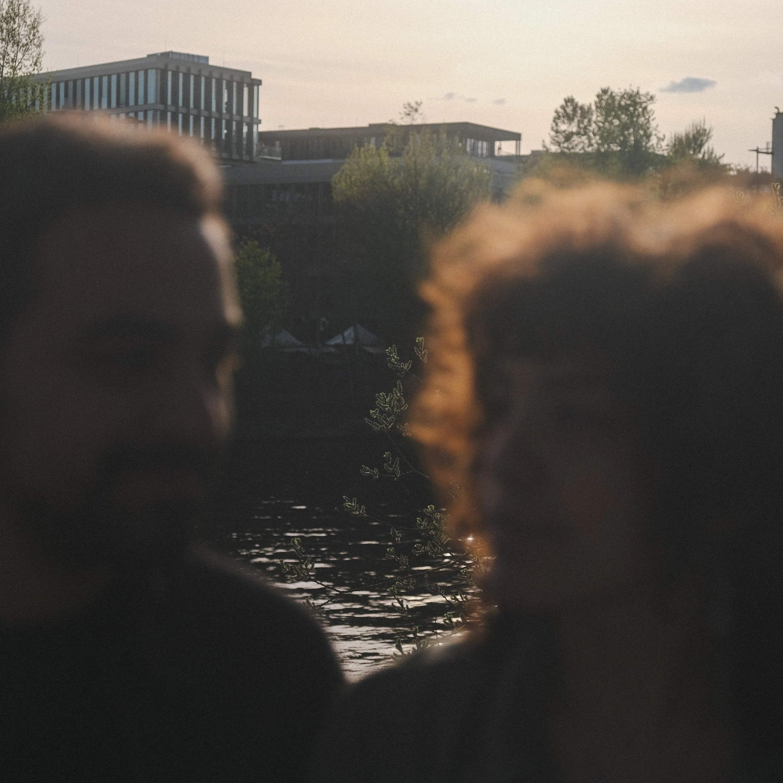 DSCF7440.jpg