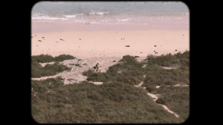 undefined-high (4).gif