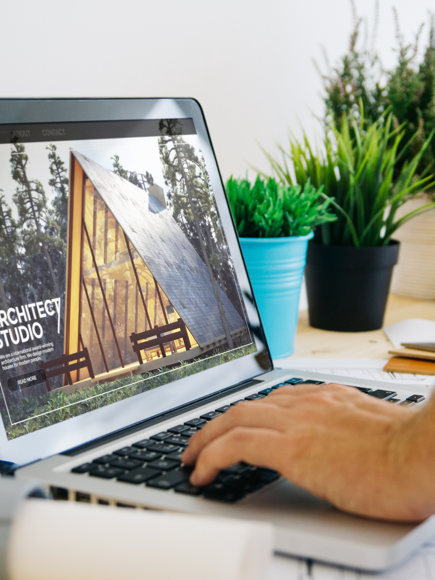 Minnesota Website Designer