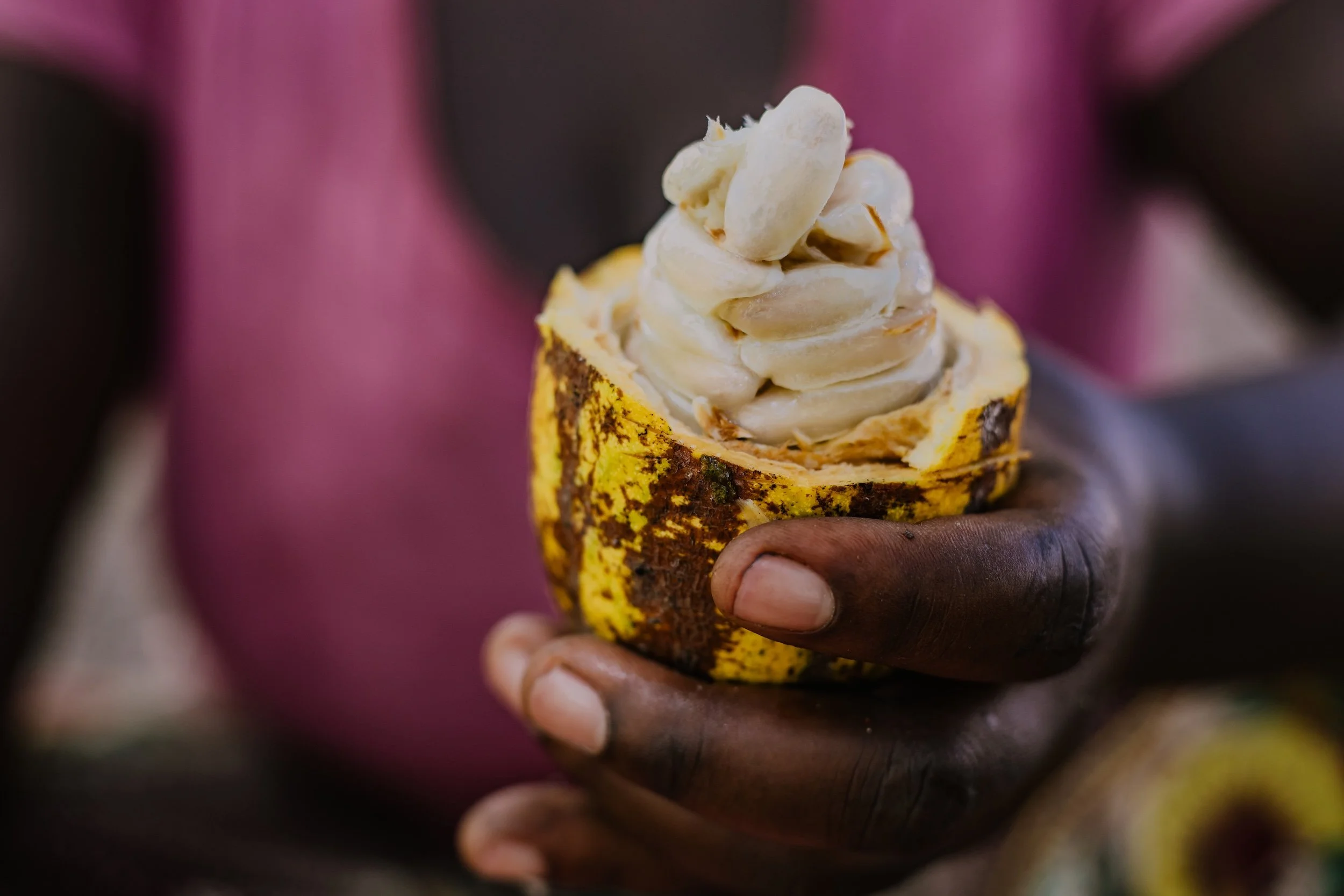 How Tanzania Cacao Found Its Footing The Kokoa Kamili Story