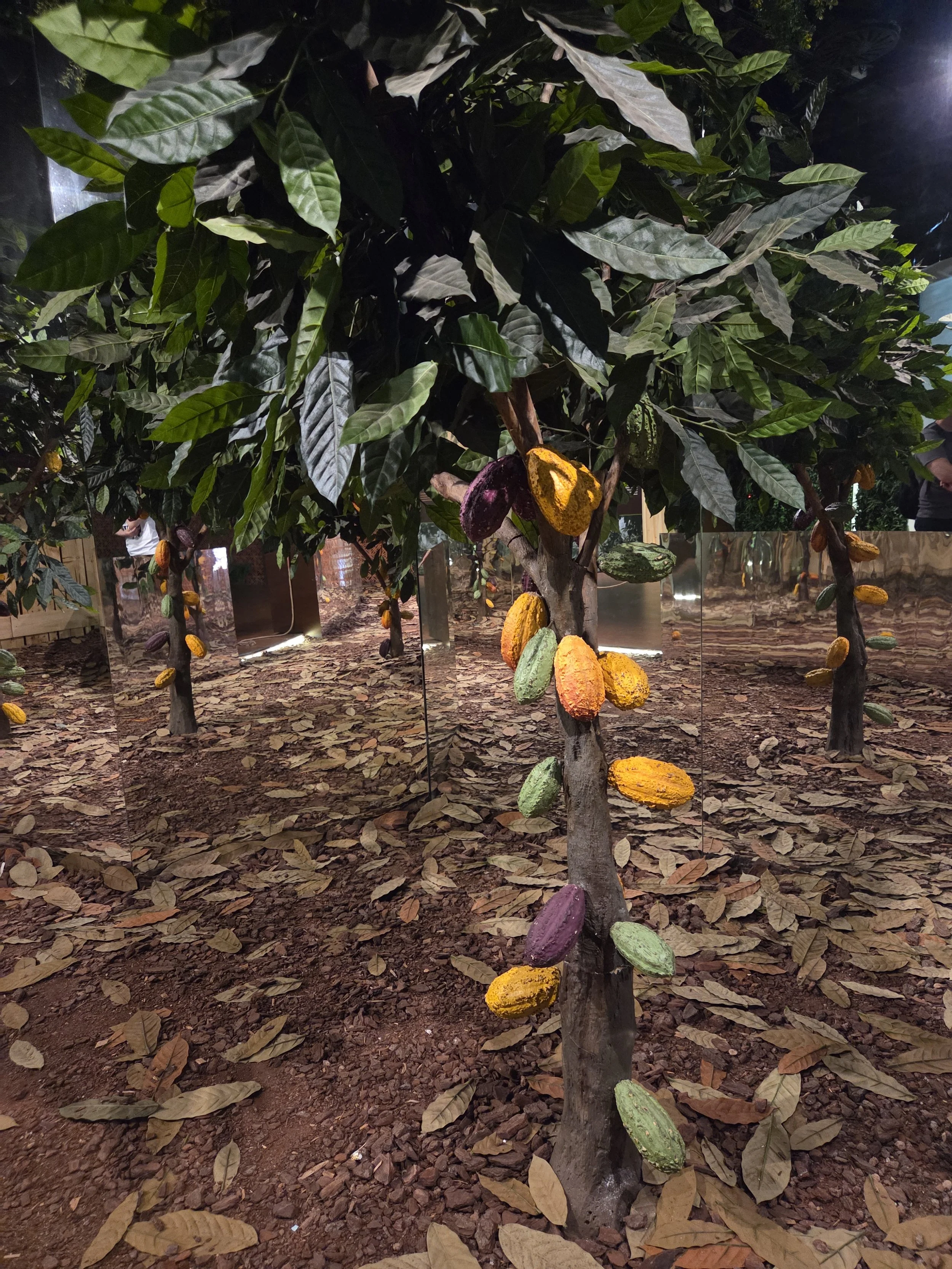 Vinte Vinte exhibition with acclimated tropics