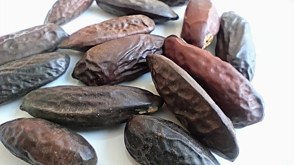 Tonka beans