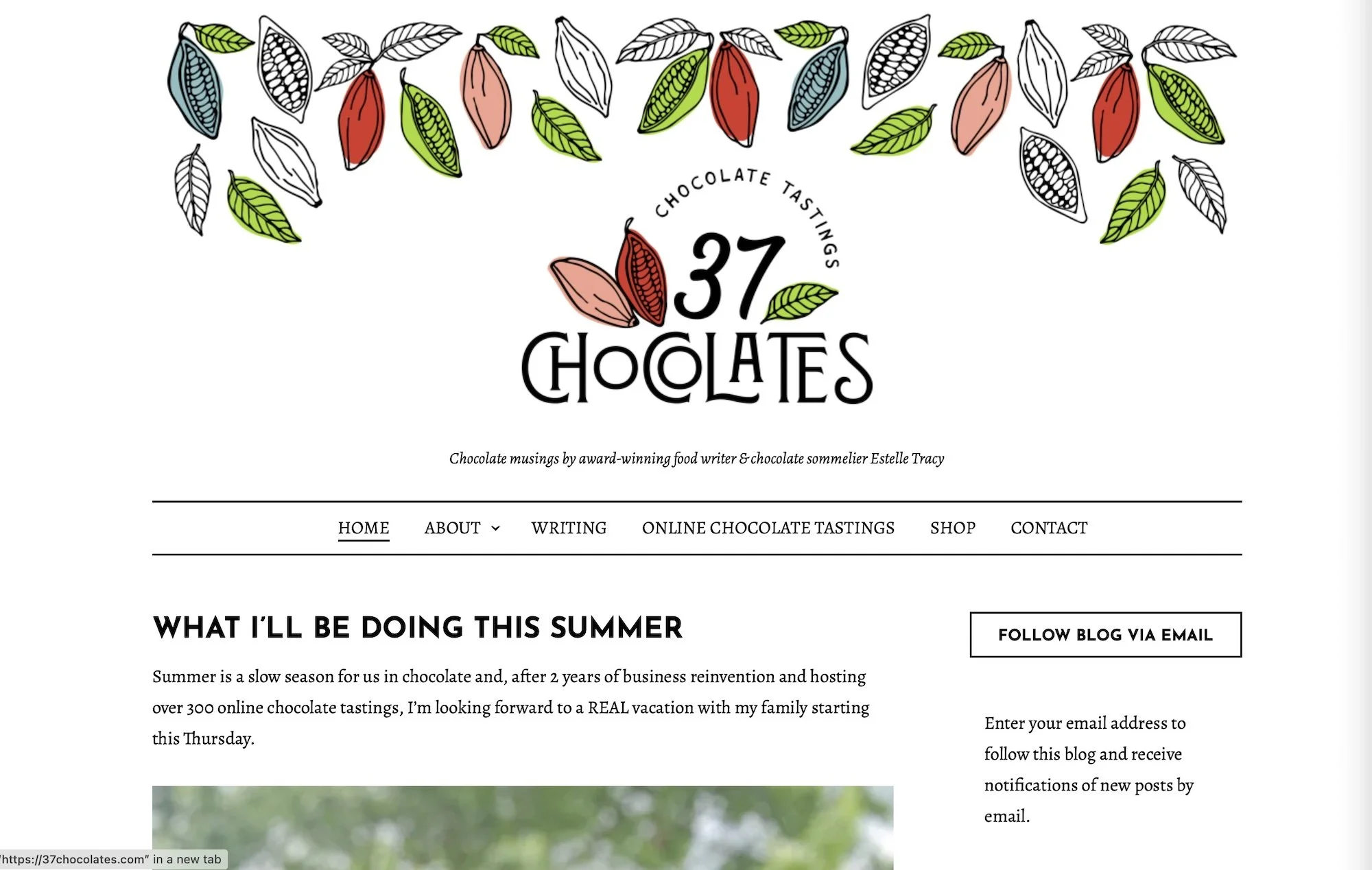 The 9 Best Blogs for Chocolate Lovers | The Chocolate Professor