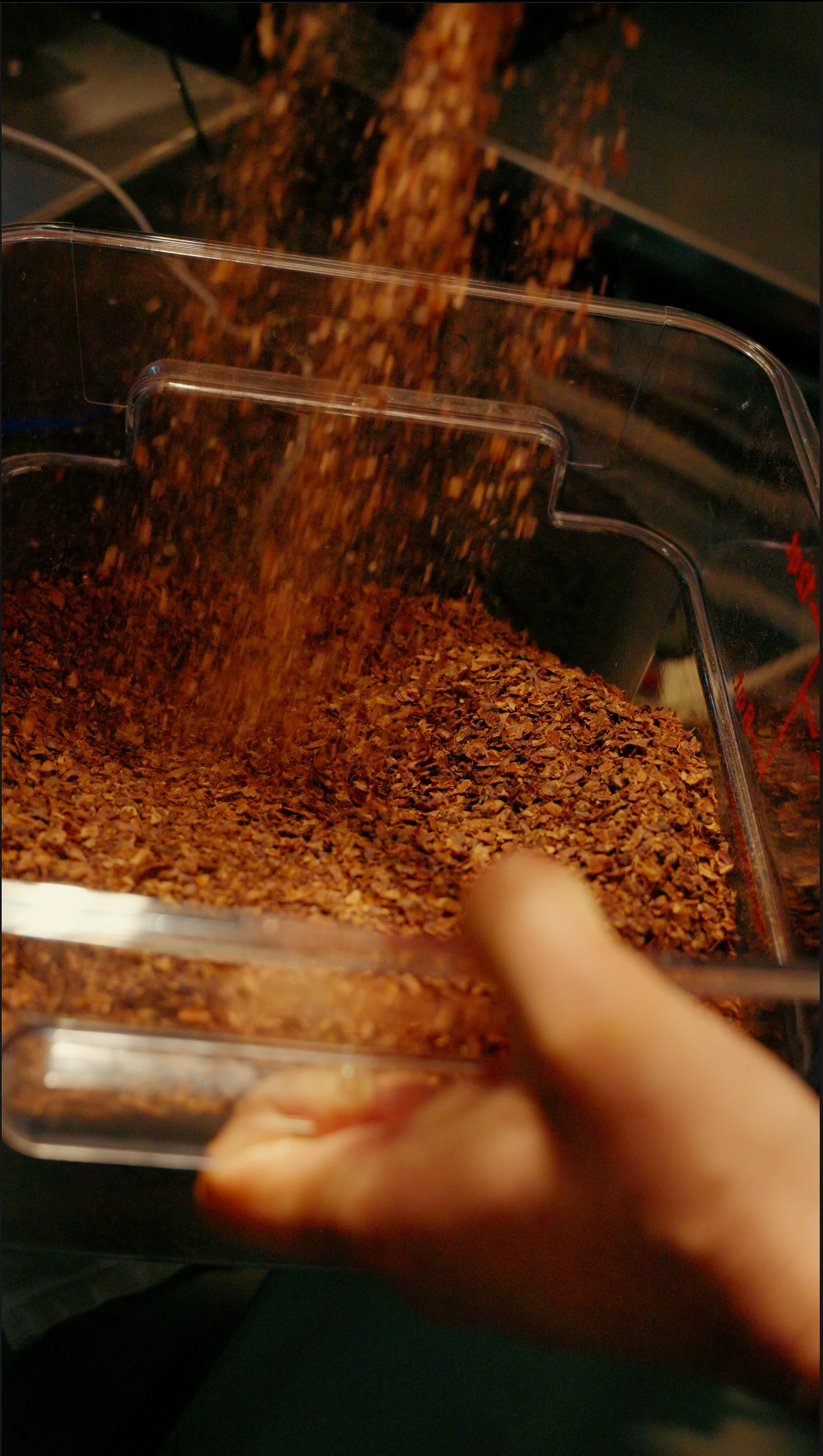Cacao nibs in Caruso's kitchen