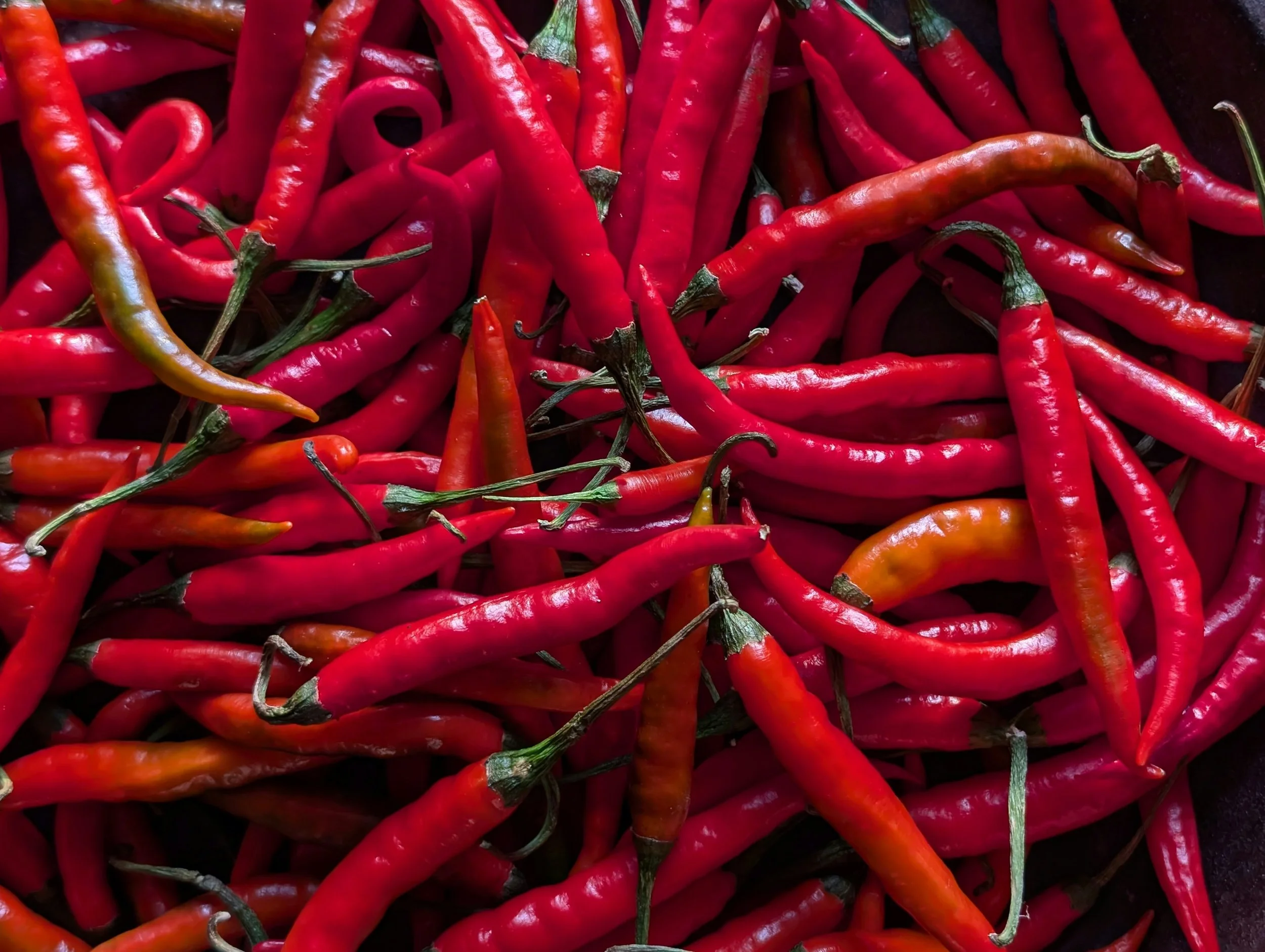 Chiles