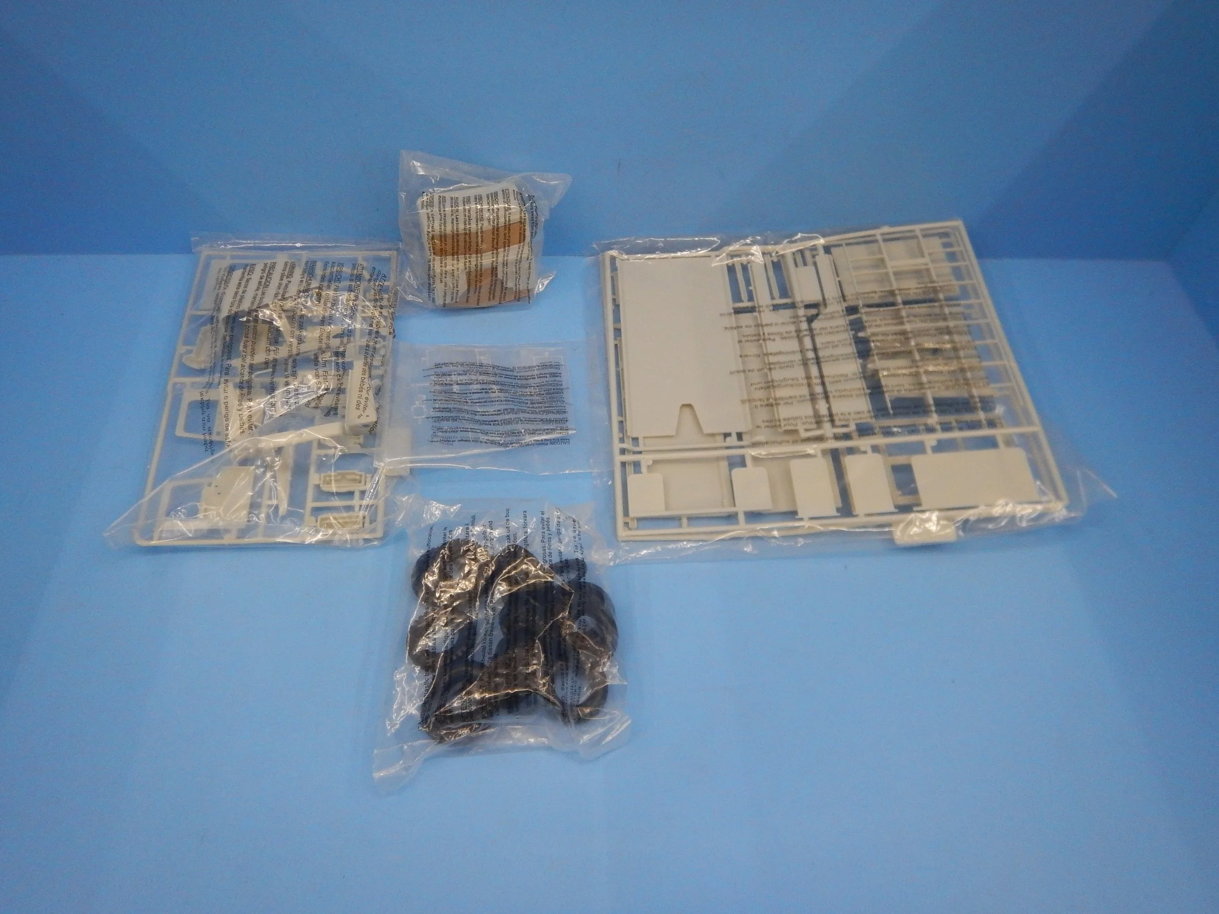 DSCN9556.JPG