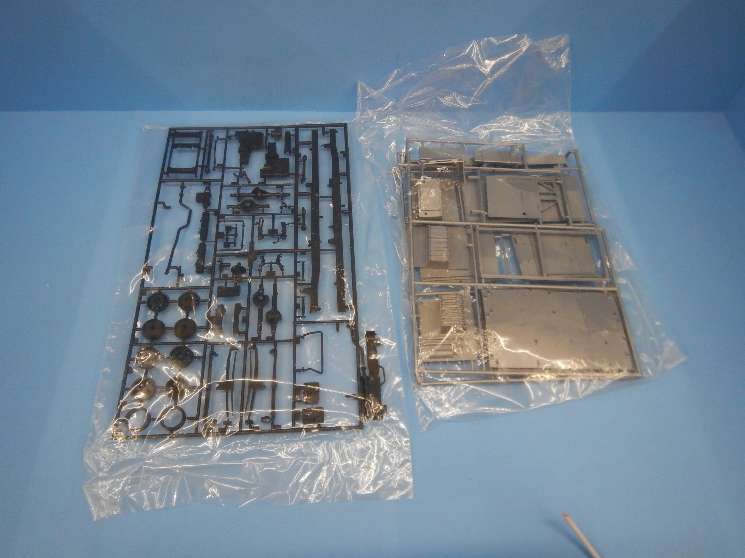 DSCN9769.JPG