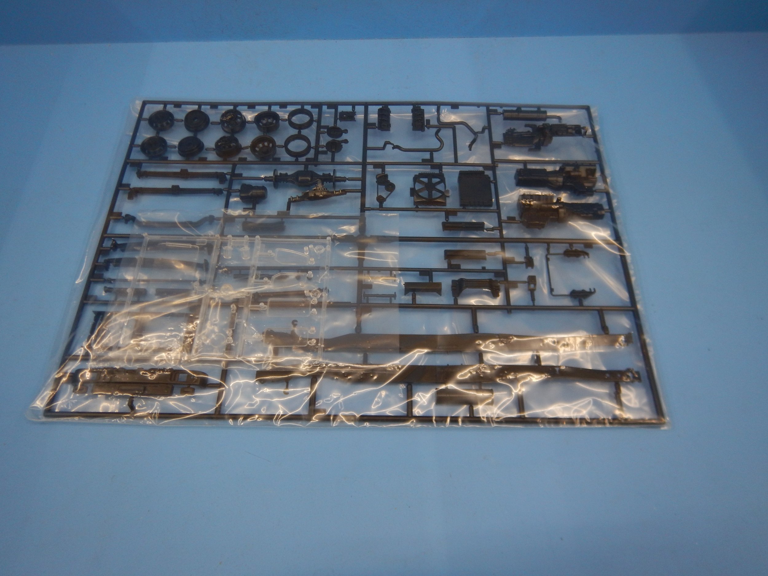 DSCN9779.JPG