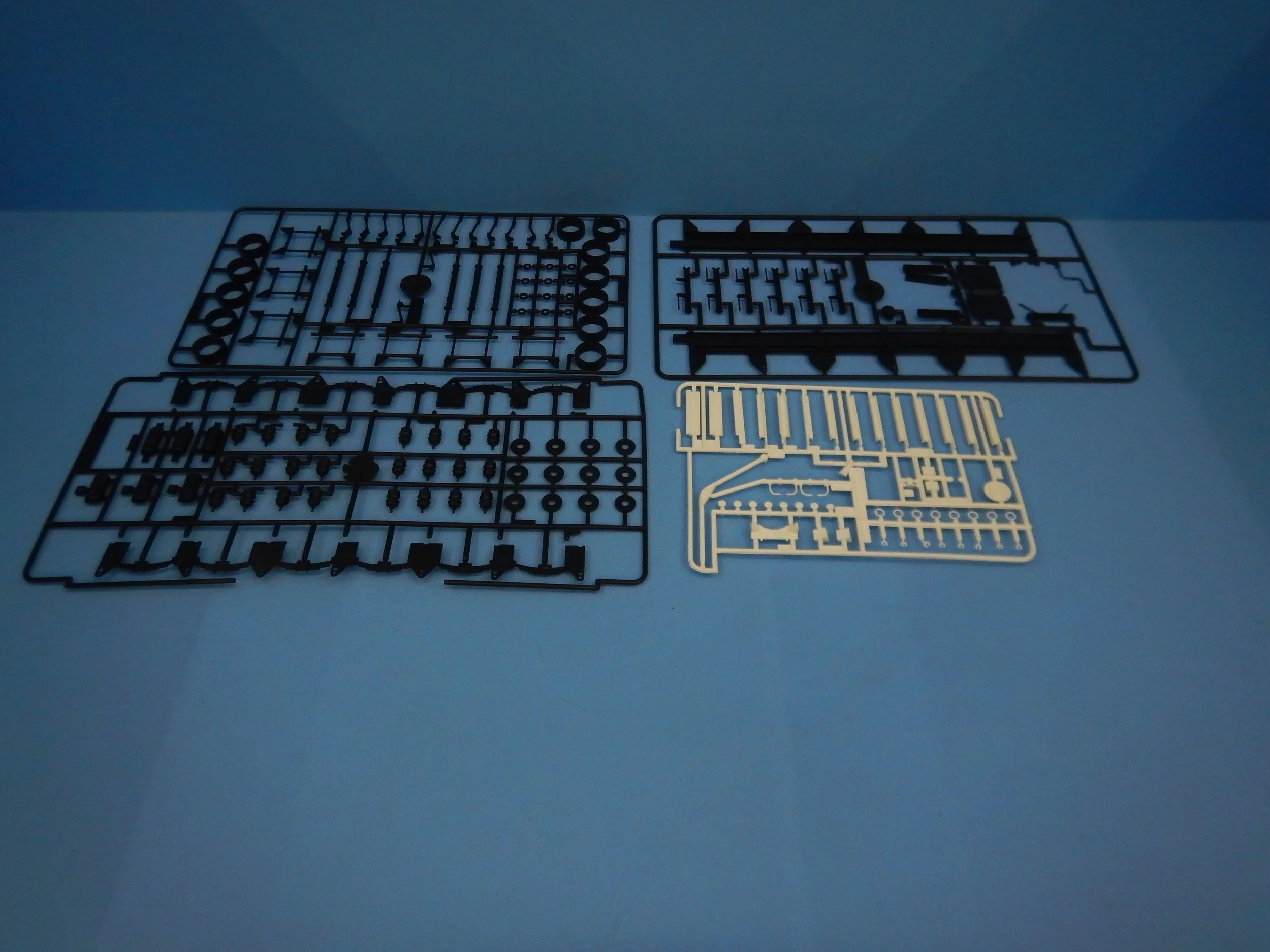 DSCN9928.JPG