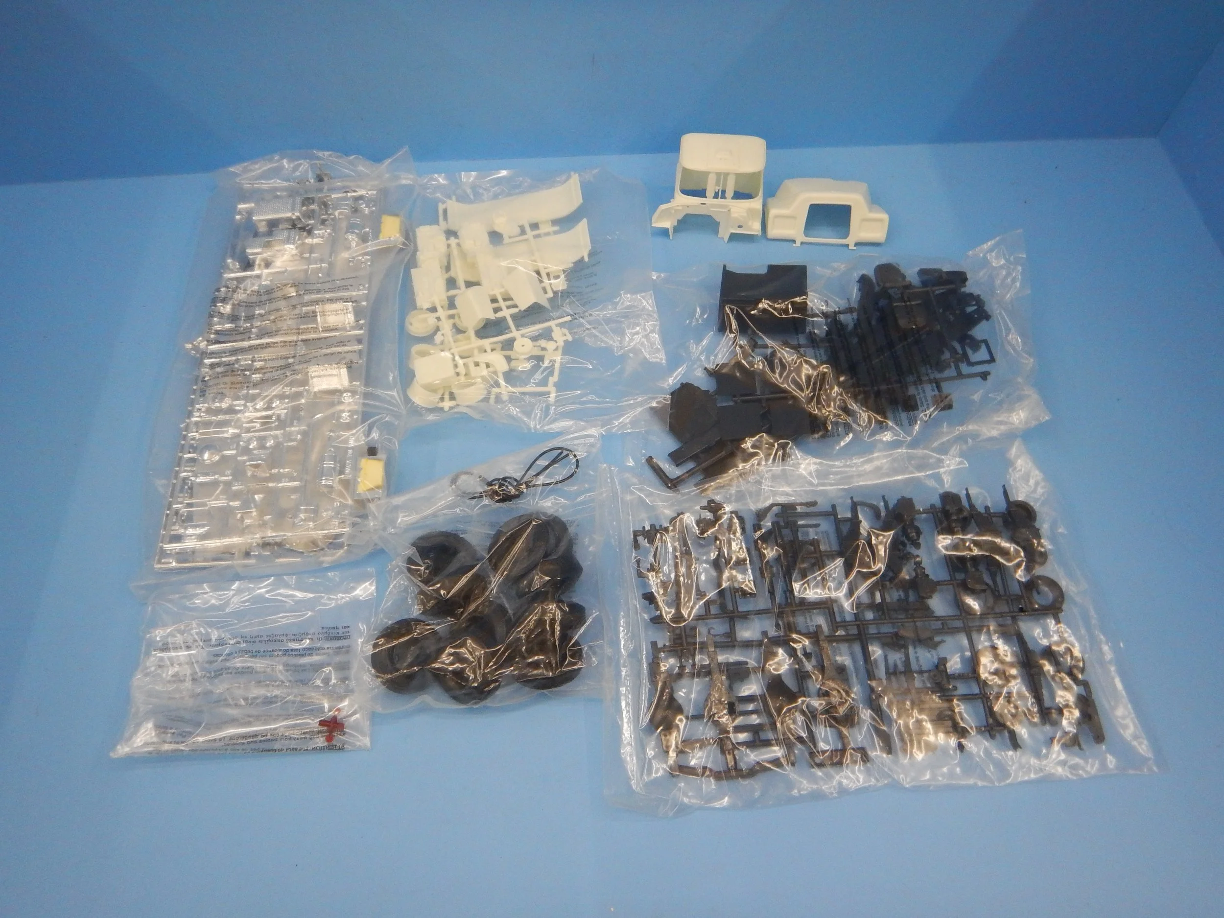 DSCN1479.JPG
