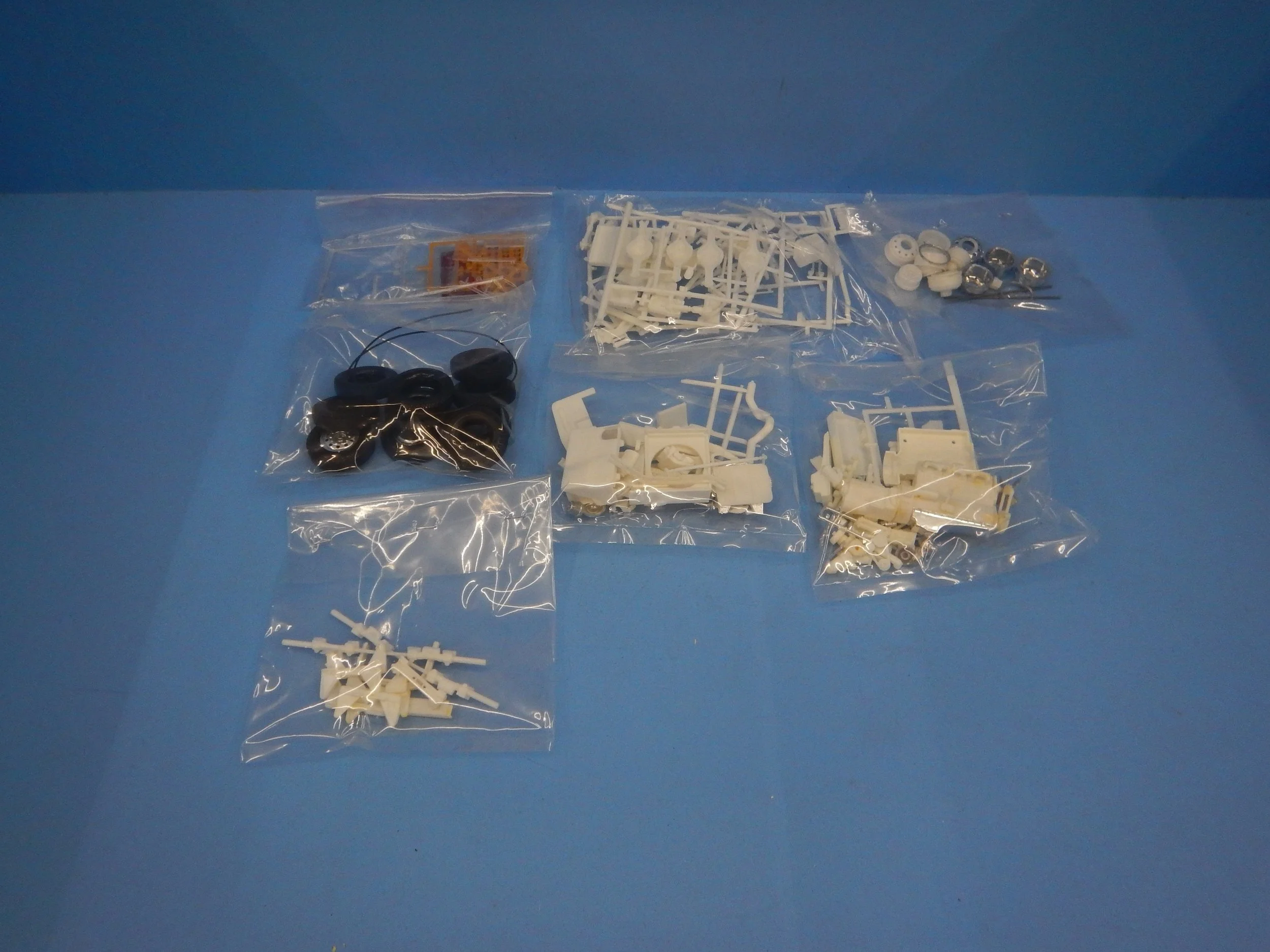 DSCN1586.JPG