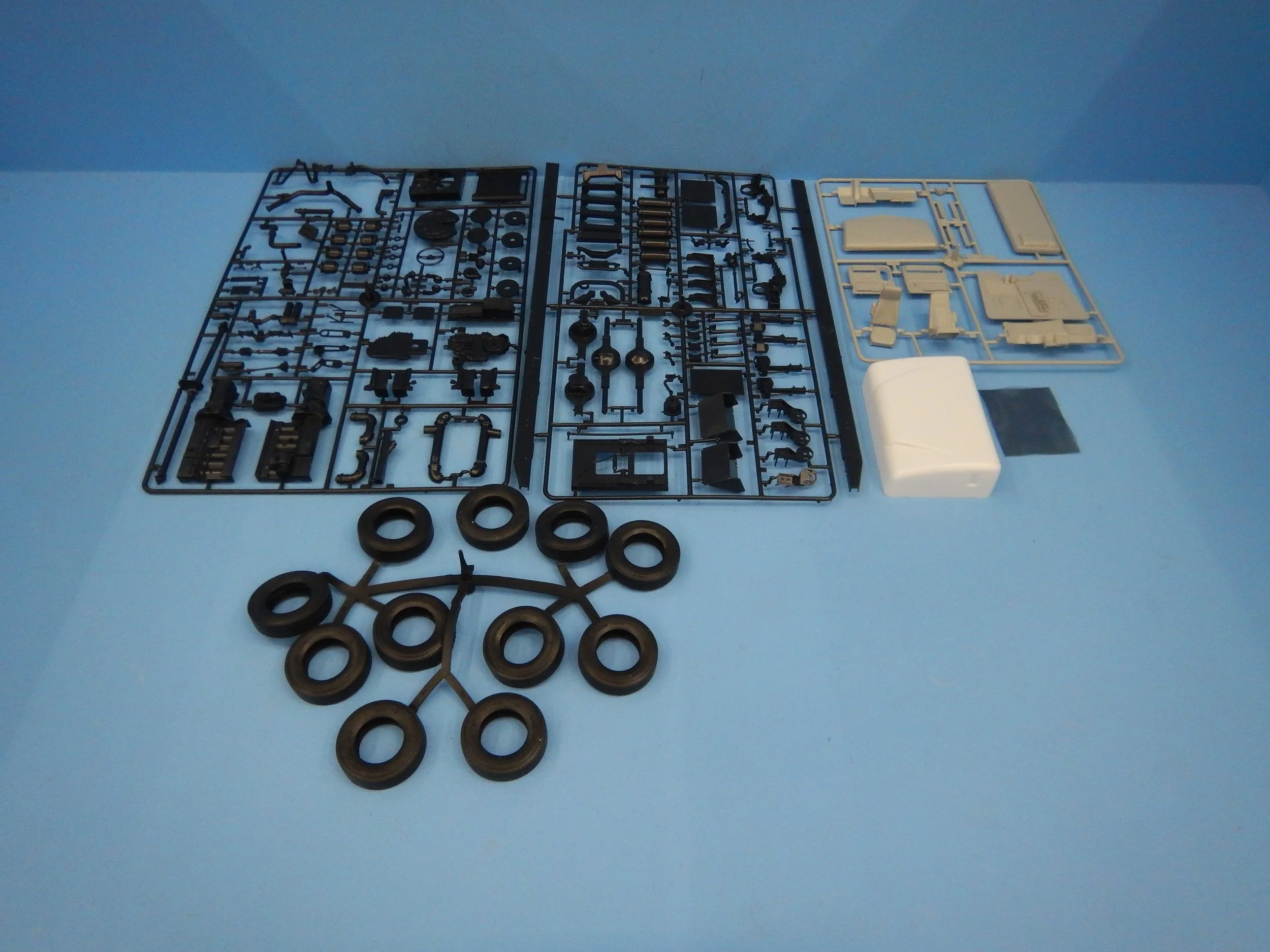 DSCN9918.JPG