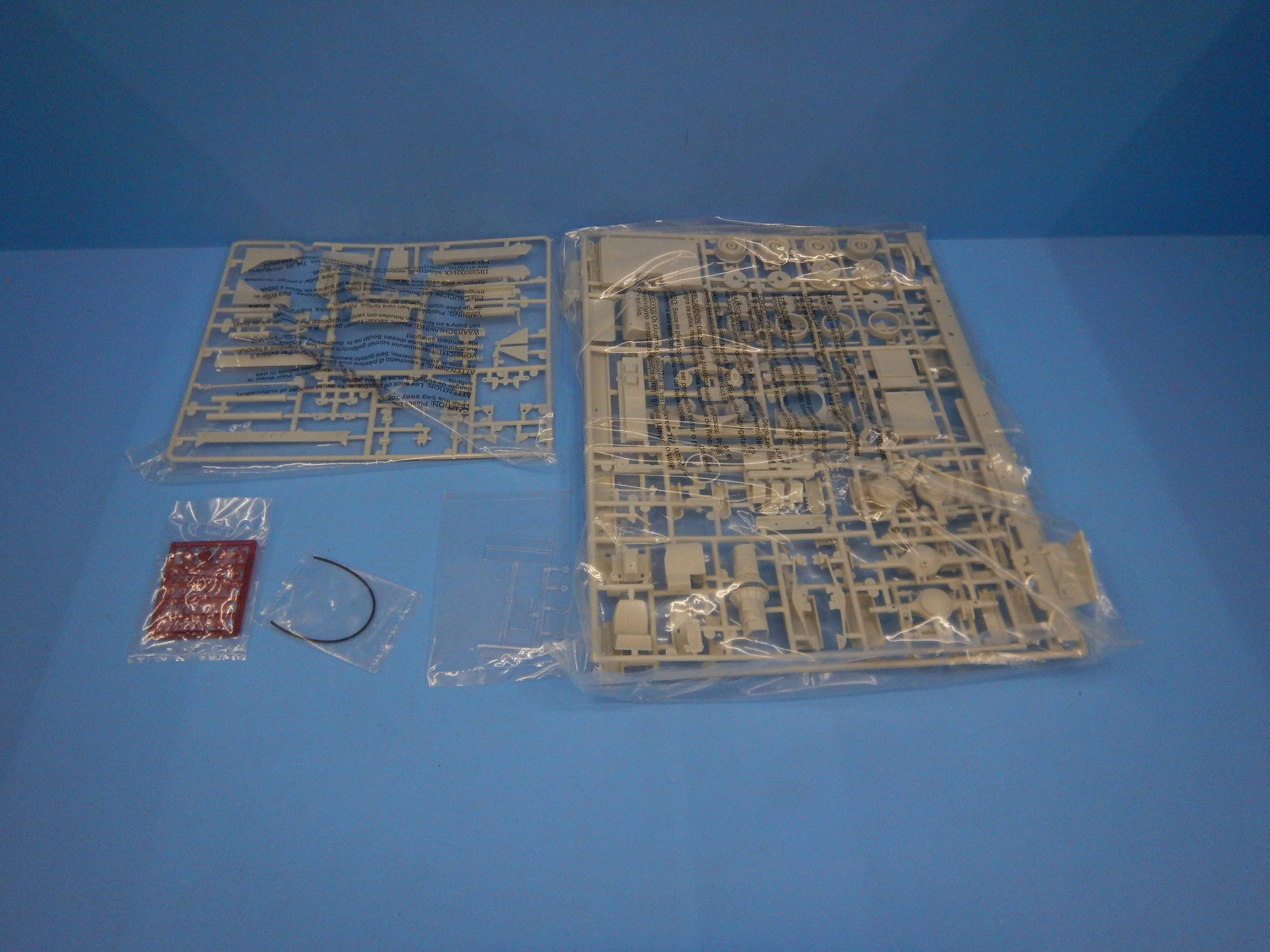 DSCN9557.JPG