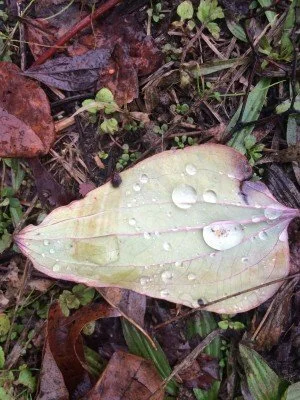 On terrorism and angels: The best seat in the house