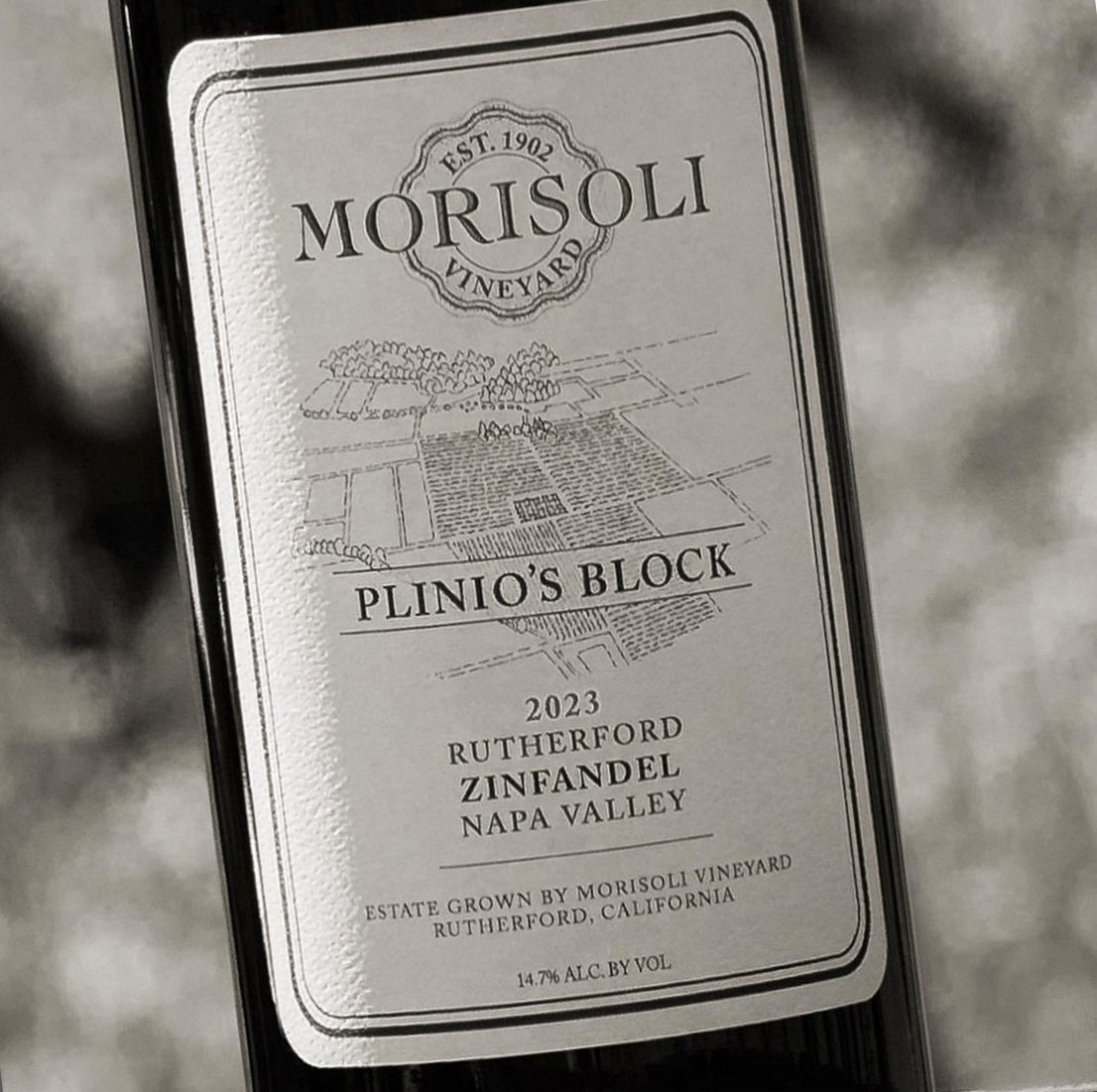 Morisoli Vineyard Zinfandel
