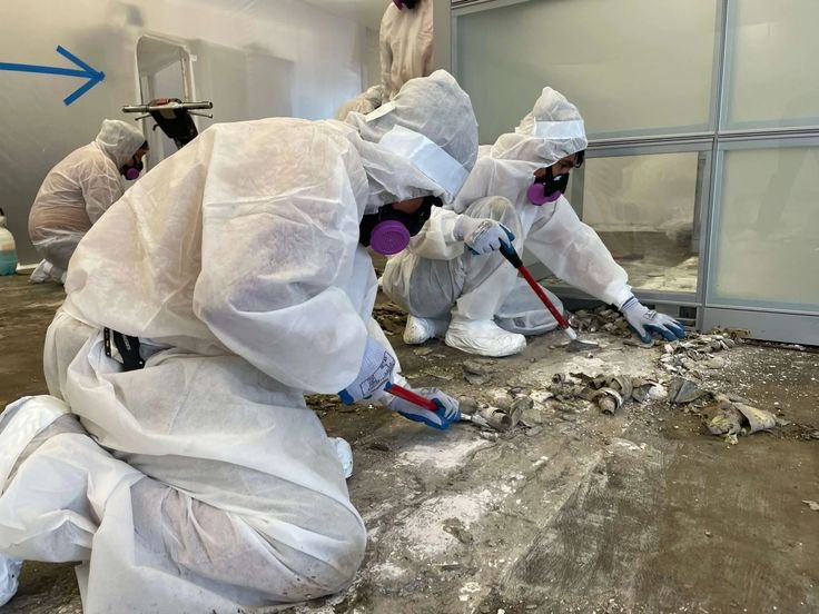 What You Need To Know About Asbestos Removal in Carpinteria