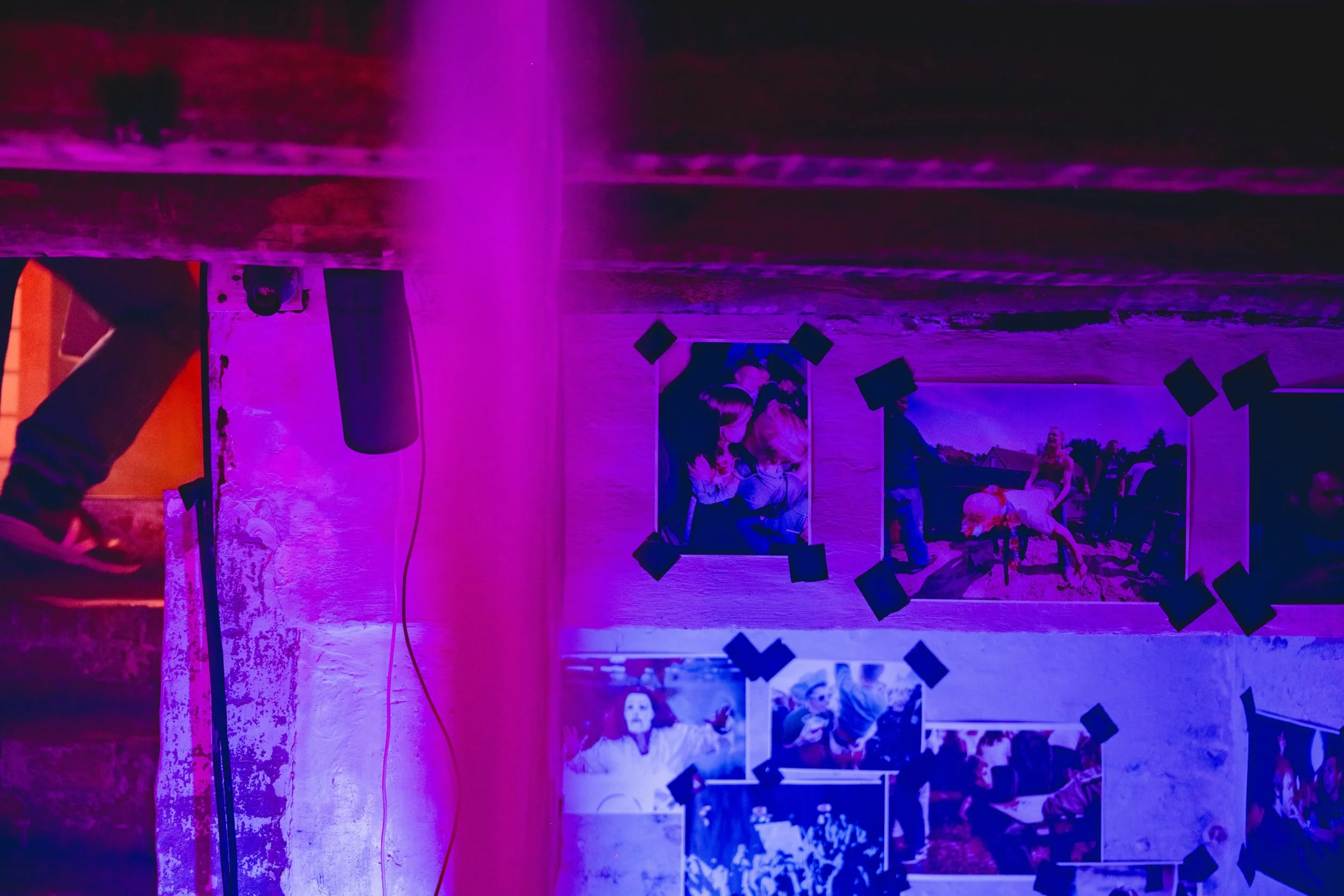 2025-06-04 - 25 jaar Gladiolen - Expo @ Olen - Jokko - 098 kopie.jpg