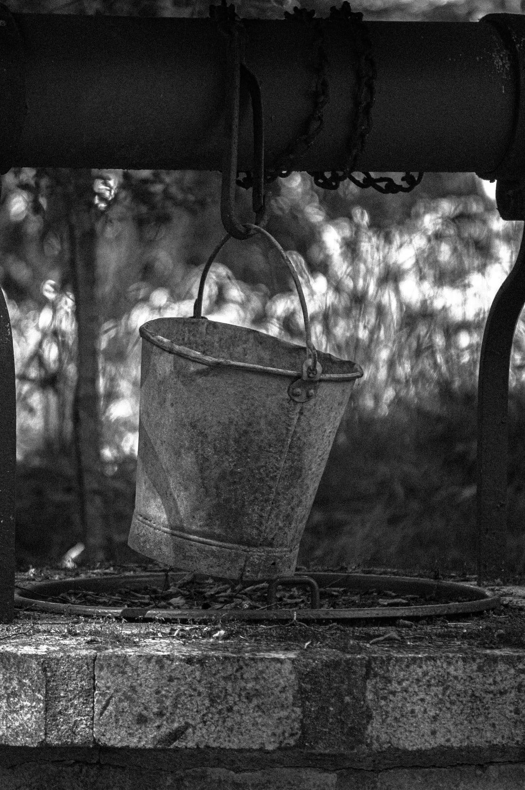 The Bucket - Youth