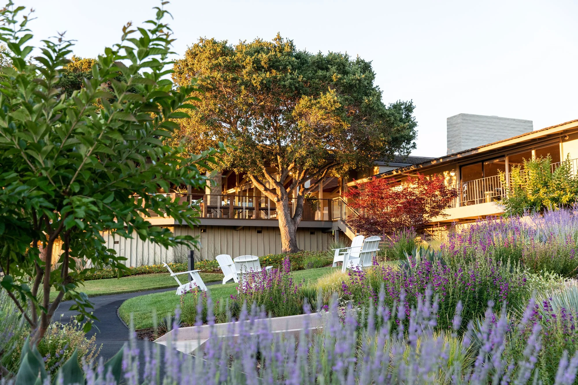 Adirondack chairs set on the grass among the flowering rock garden below the Tree Deck at The Quad Conference Center.