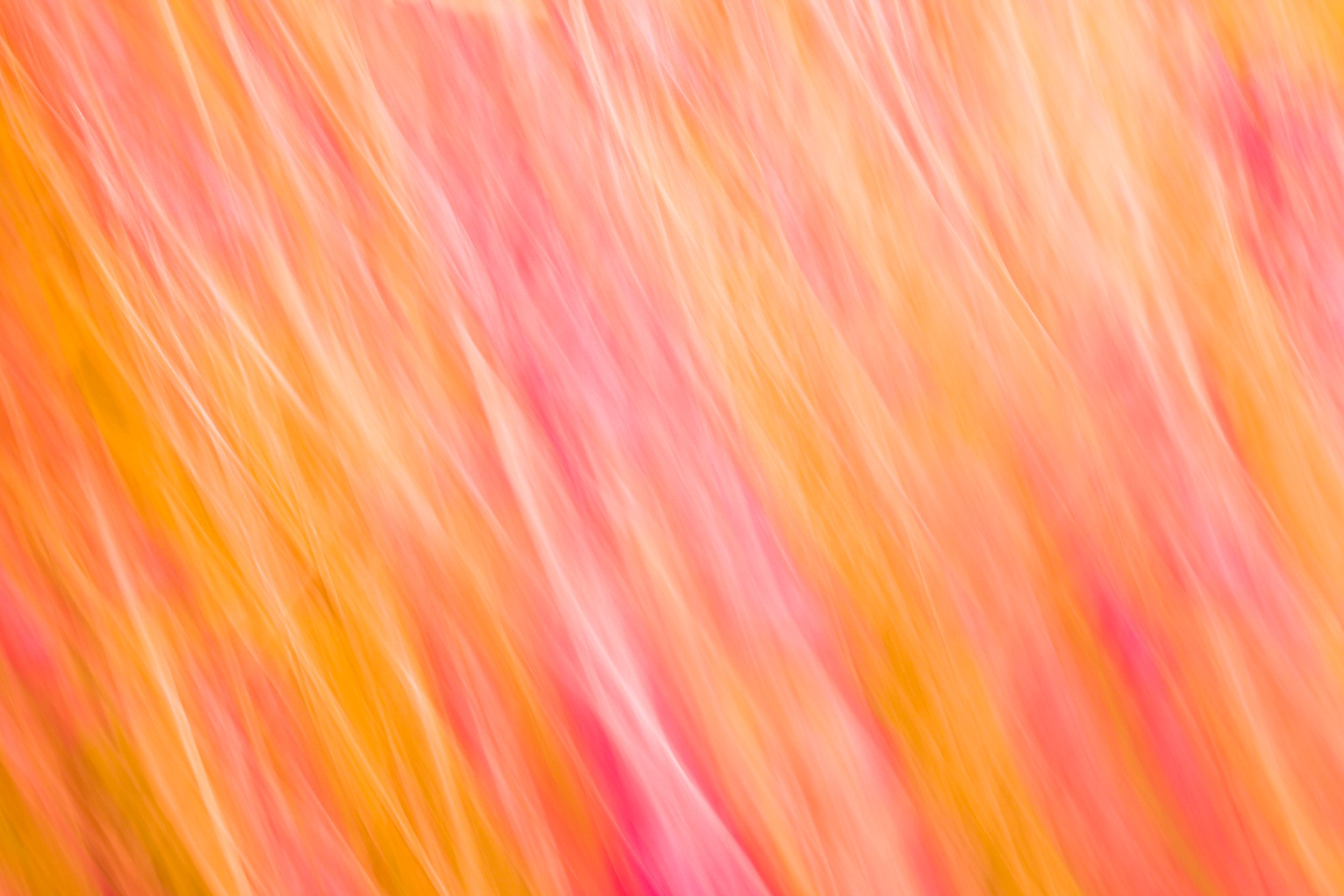 0F4A3364.jpg