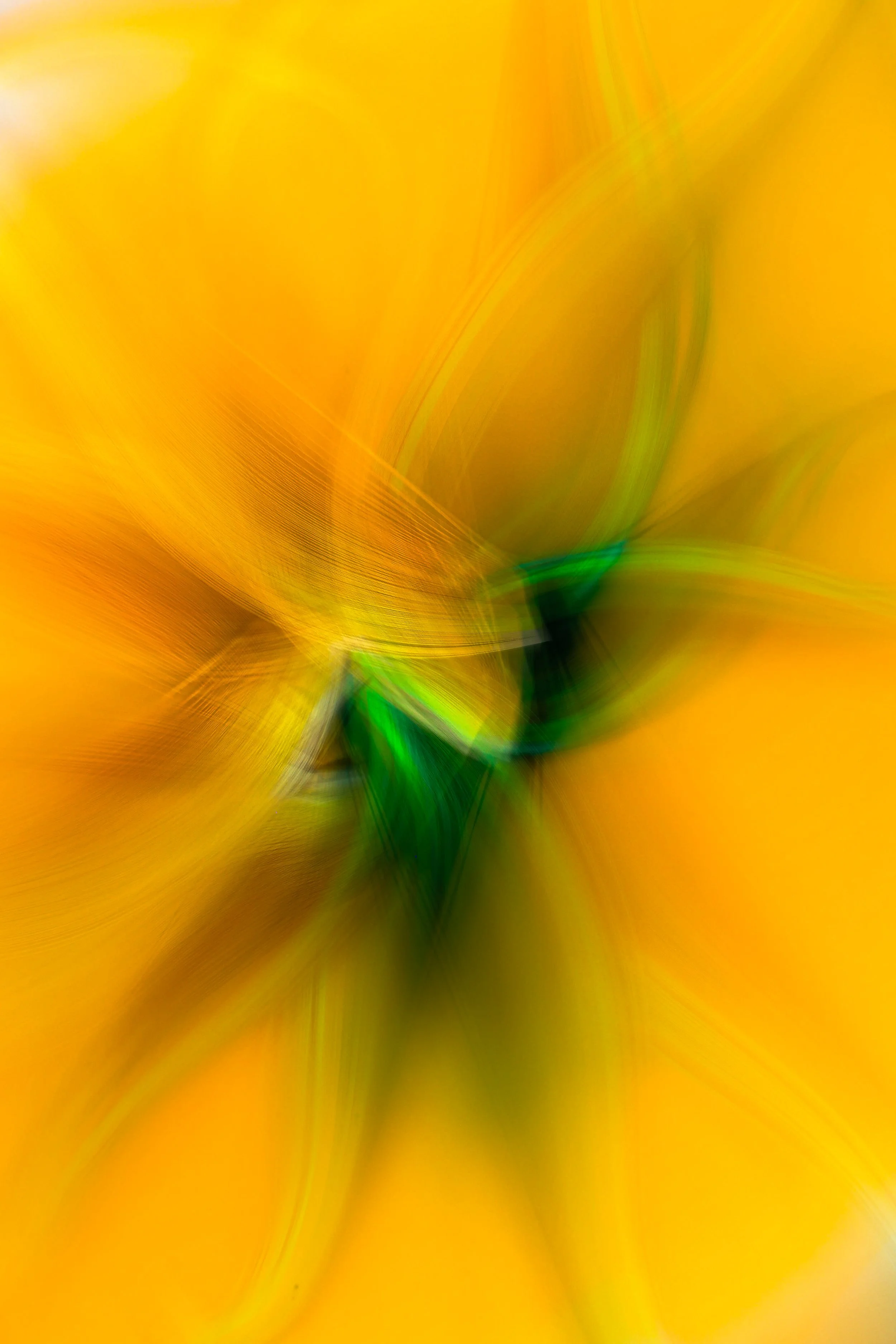 0F4A6173.jpg