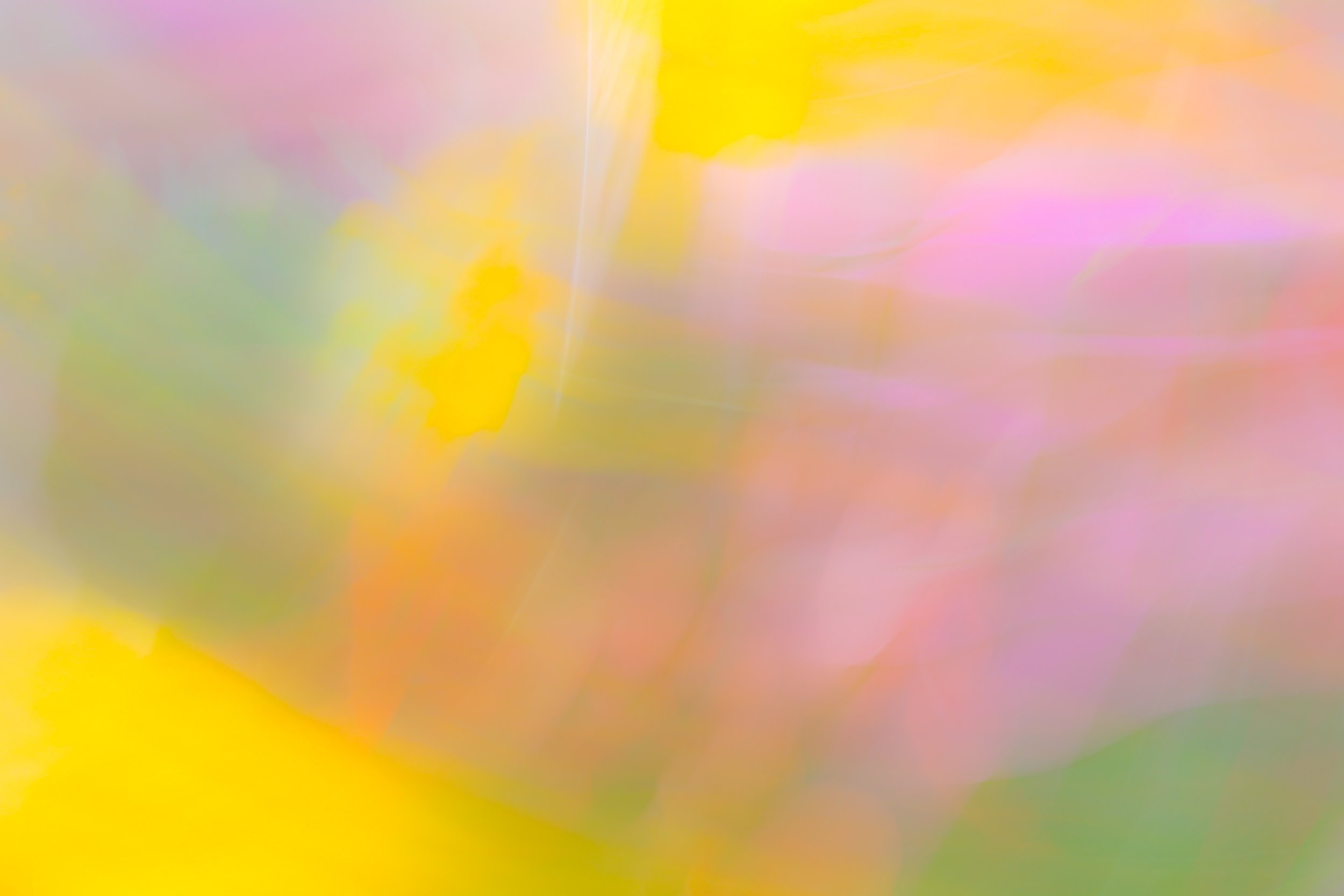 0F4A3705-2.jpg