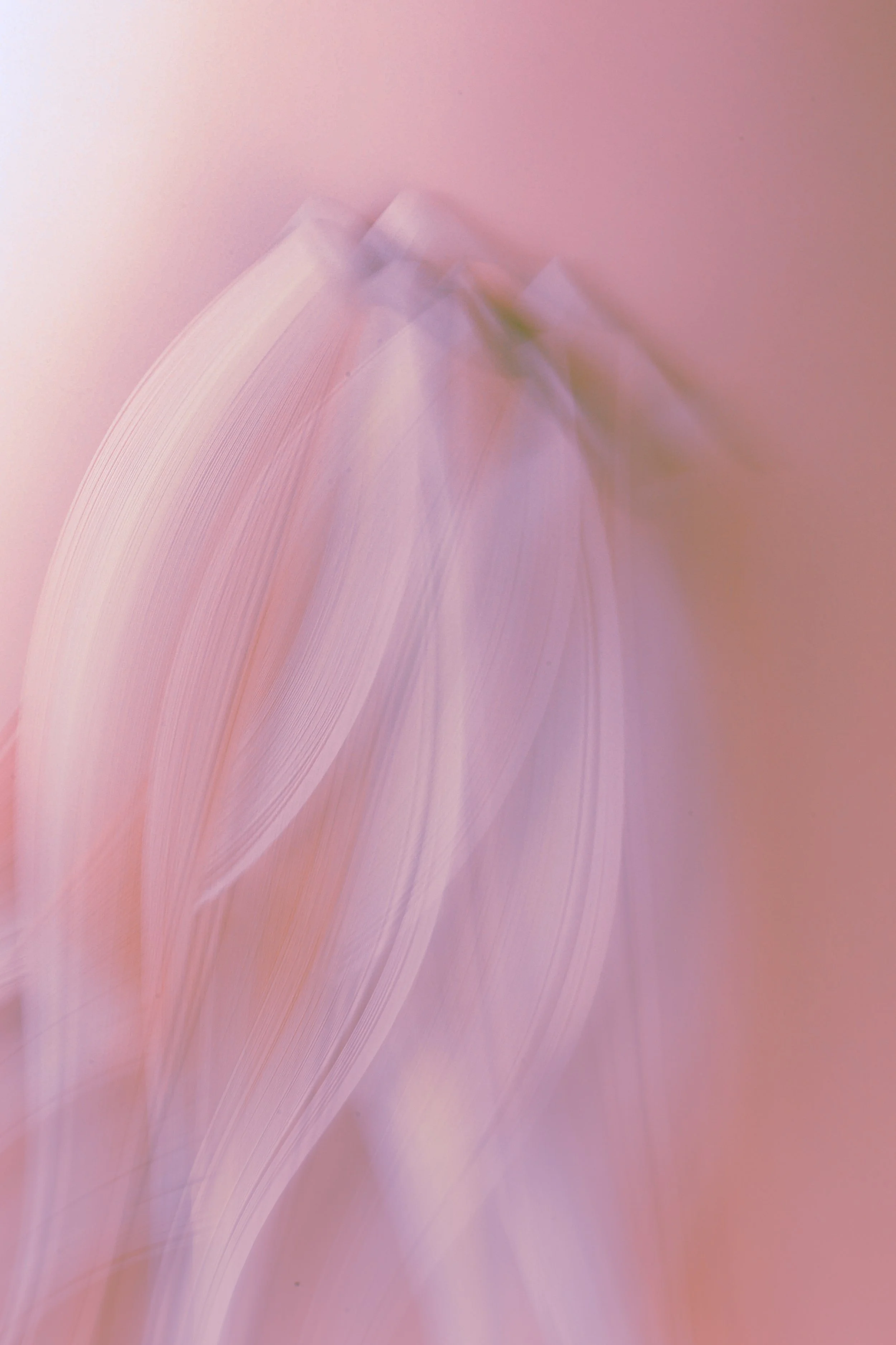 0F4A6039.jpg