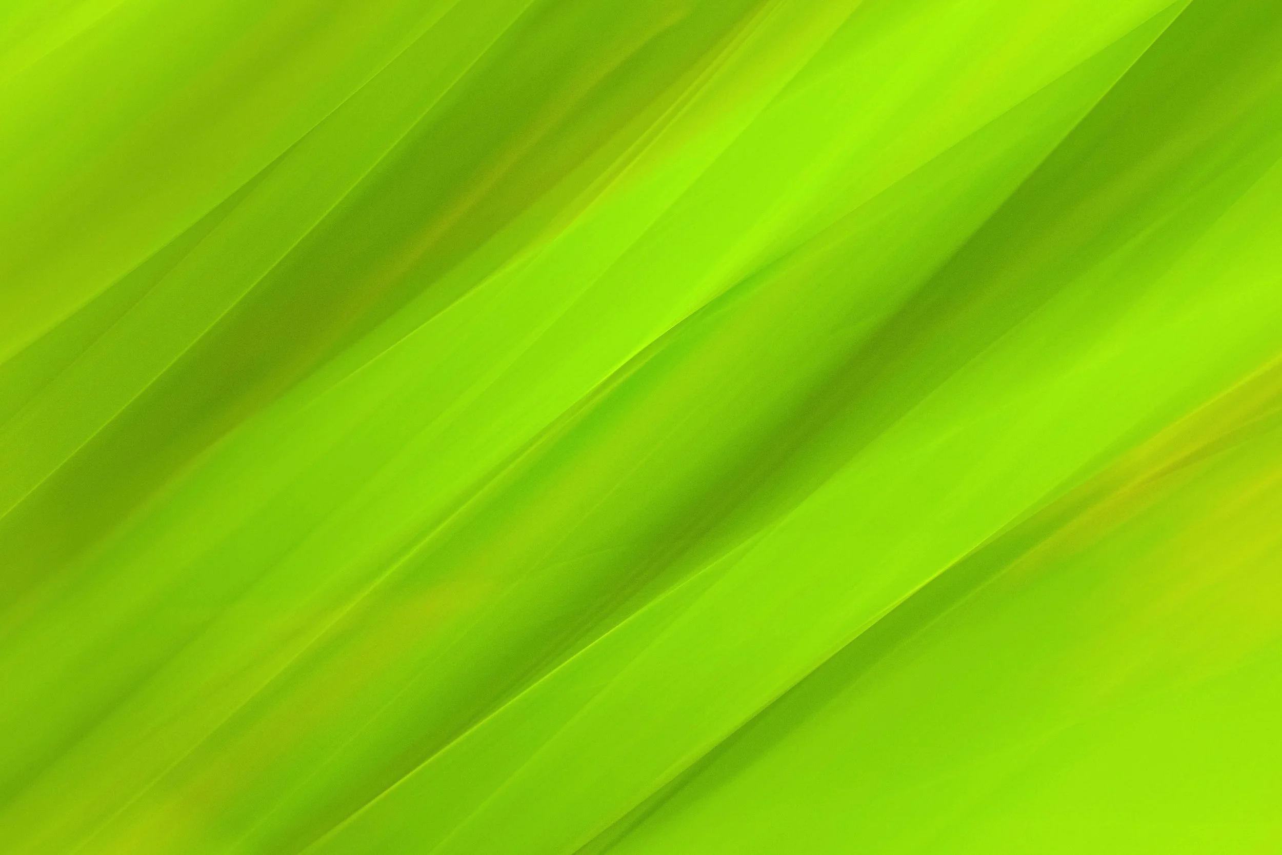 Image 6-27-22 at 12.24 PM.jpg