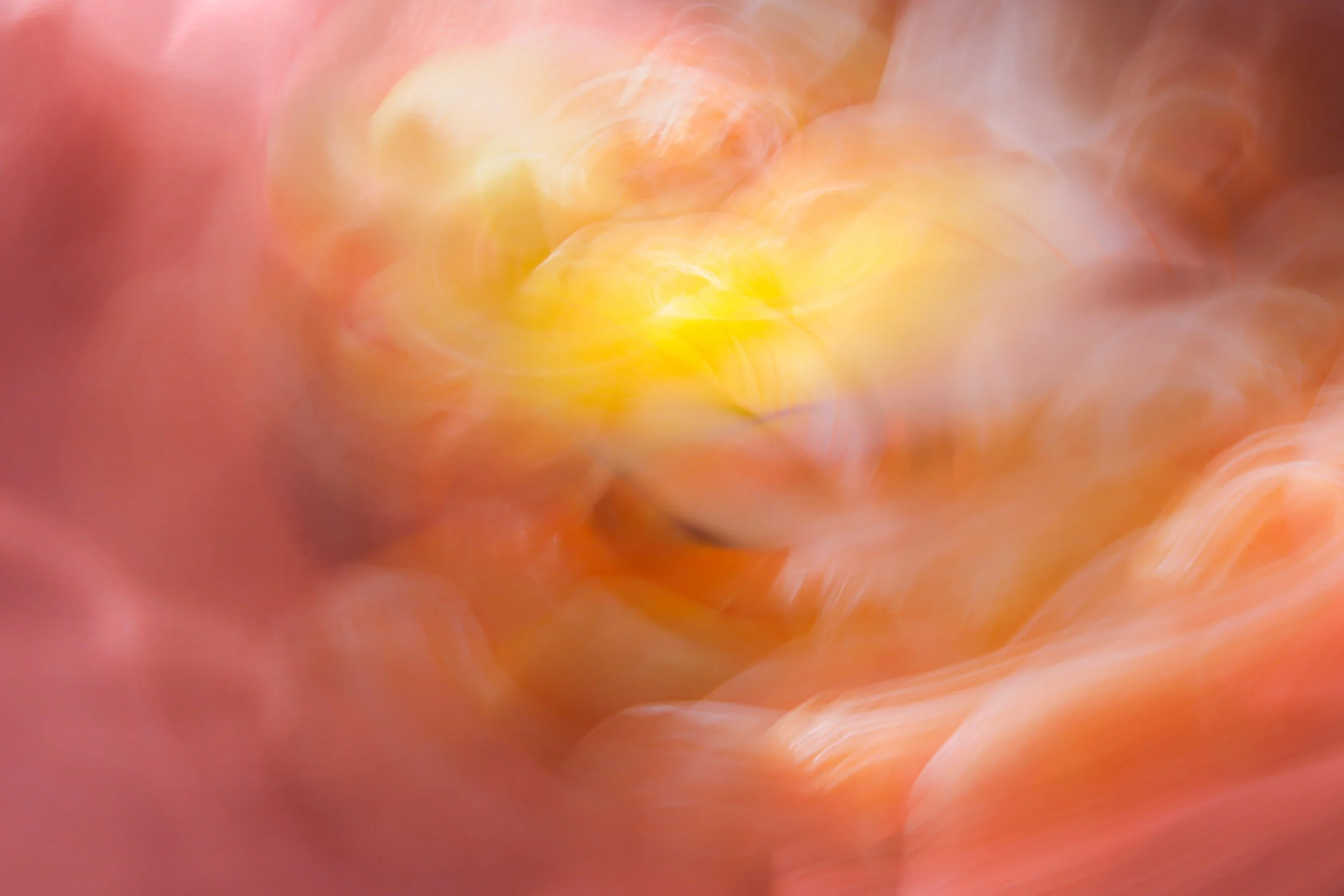 0F4A8832.jpg