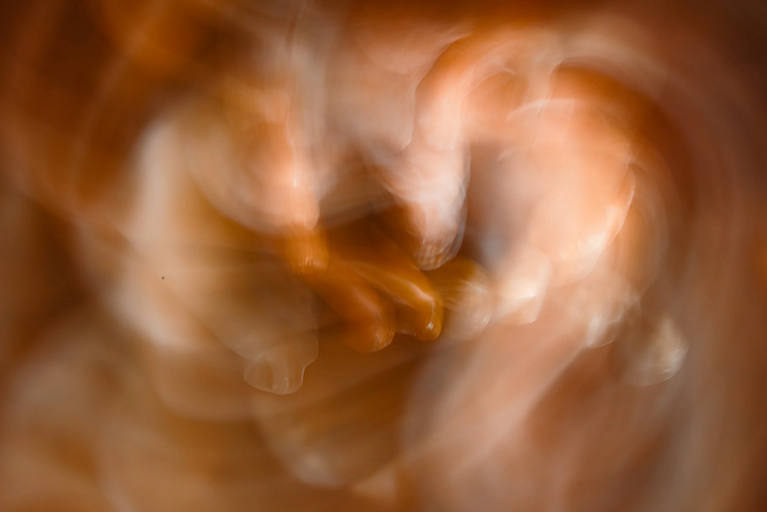 0F4A8230.jpg