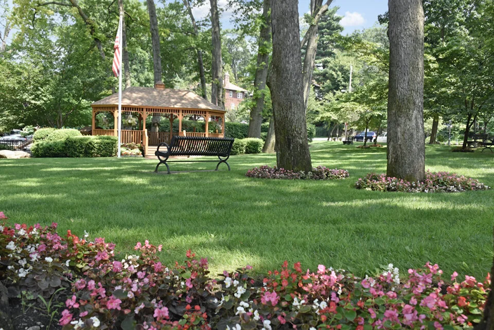 Opportunities — Kara McLoughlin for Pelham Town Council