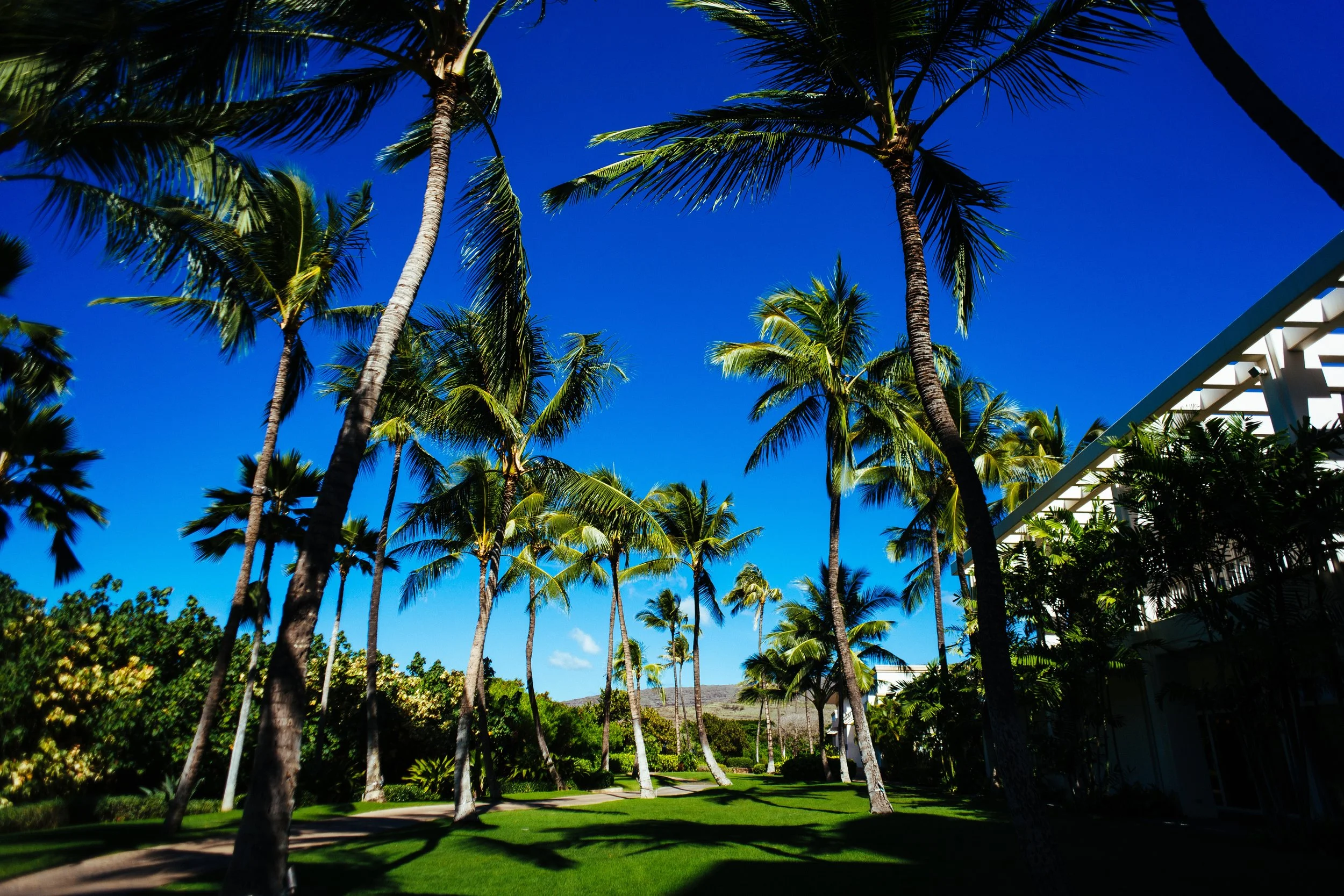 Hawaii3-1a.jpeg