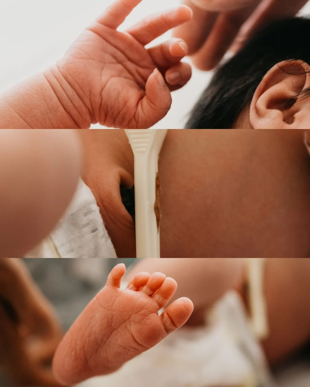ashLEYstanLEYphoto_fresh48-Family.jpg