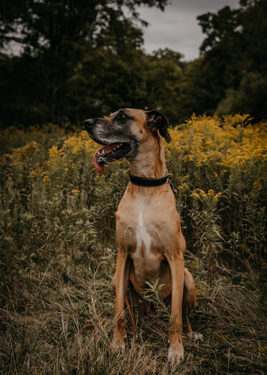 ashLEYstanLEYphotography_Tuleta_Family Session_Fall2024-22.jpg
