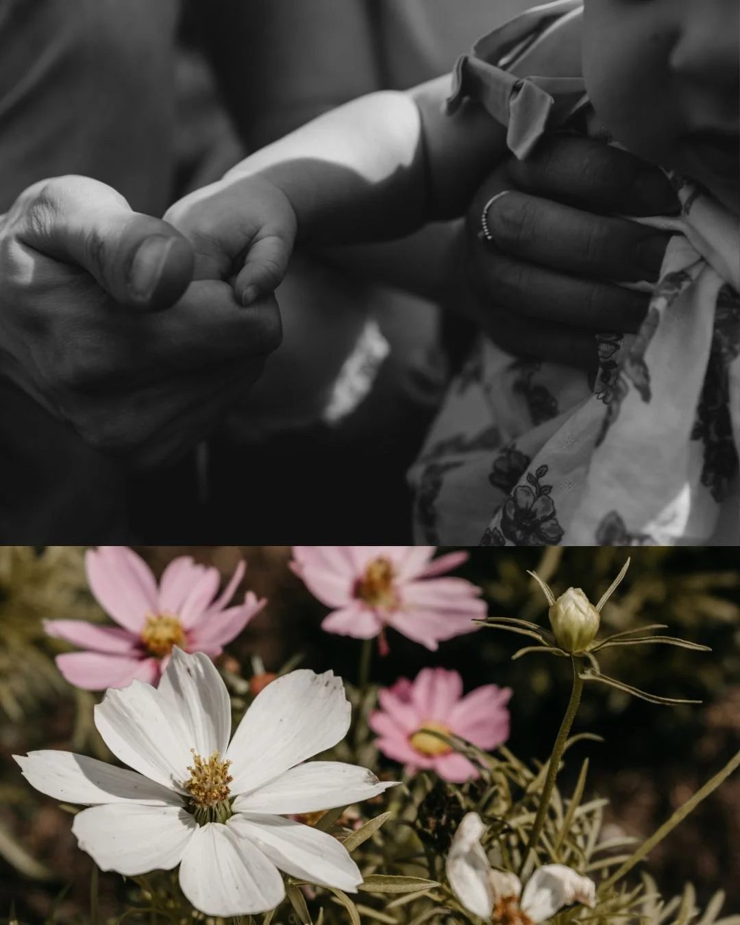 ashLEYstanLEYphotography_gardens1.jpg