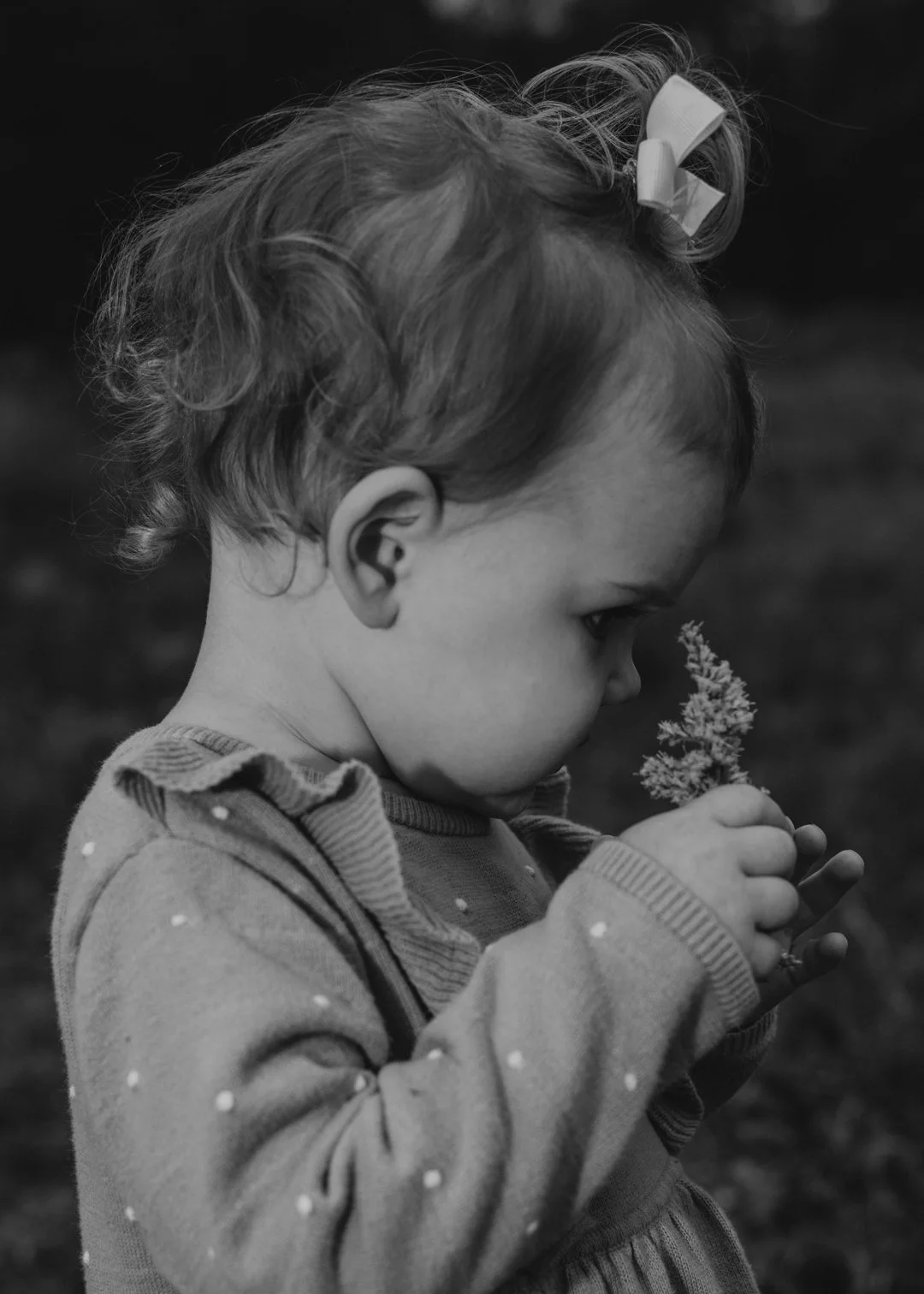 ashLEYstanLEYphotography_Tuleta_Family Session_Fall2024-51.jpg