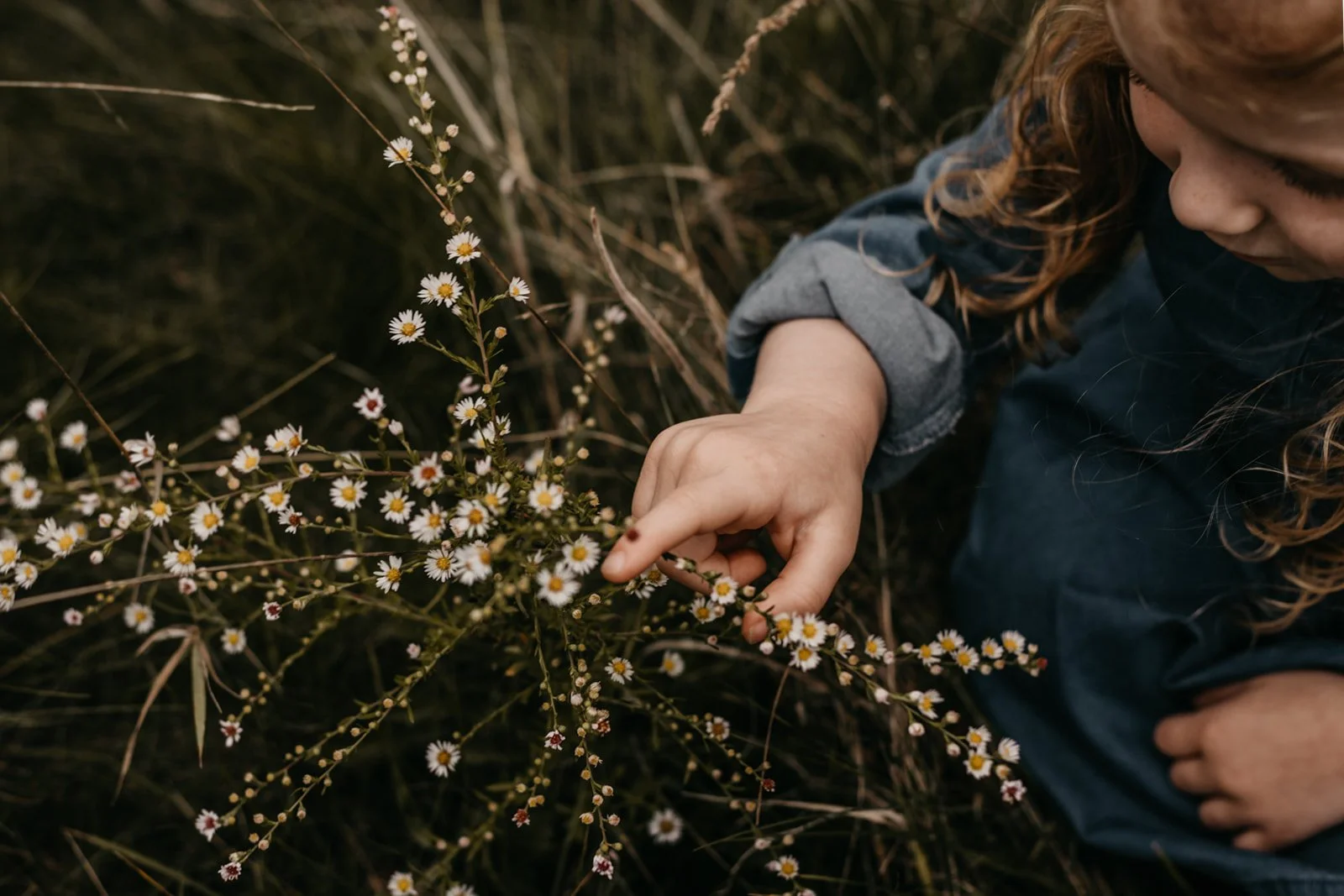 ashLEYstanLEYphotography_Tuleta_Family Session_Fall2024-10.jpg