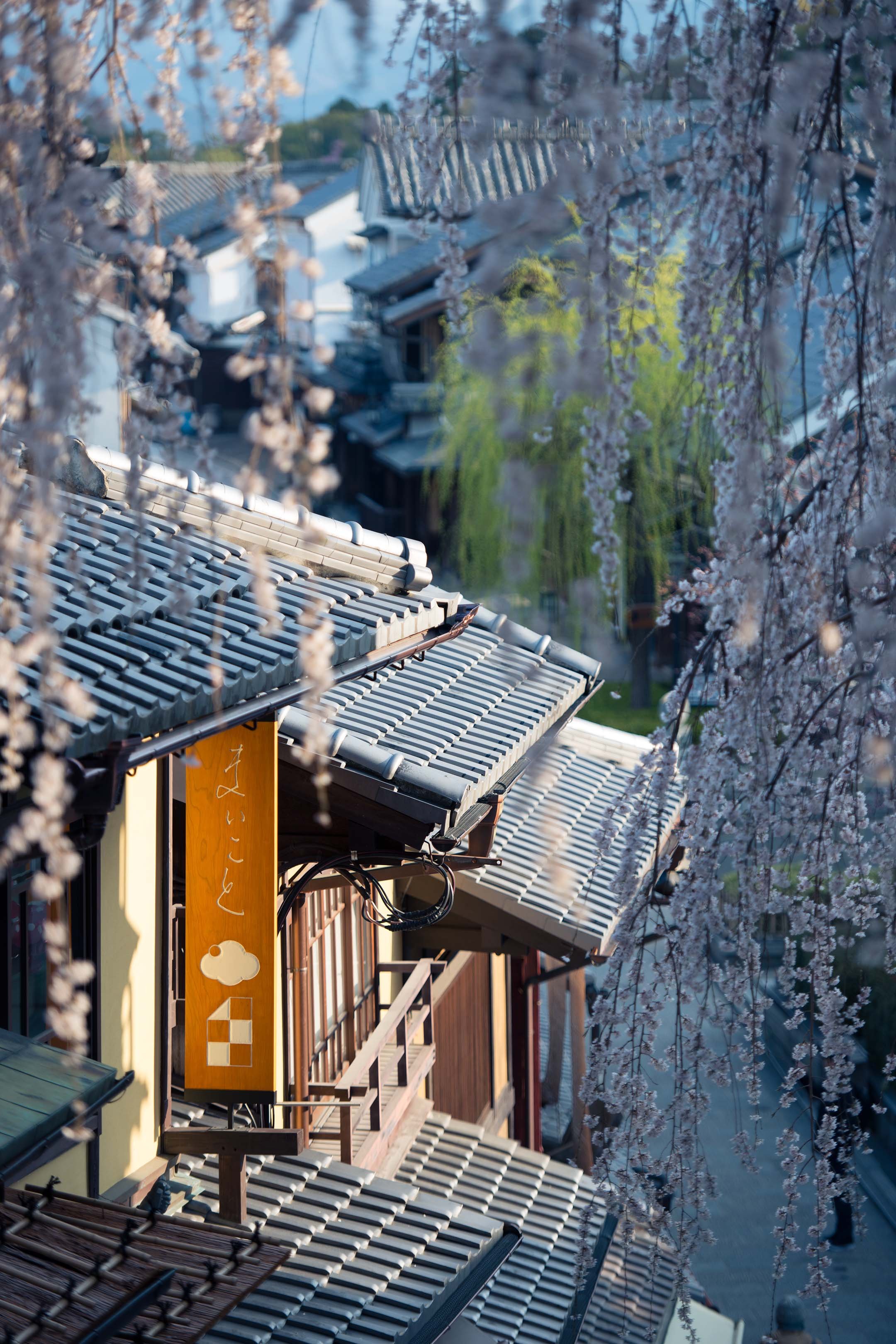 Kyoto・Japan