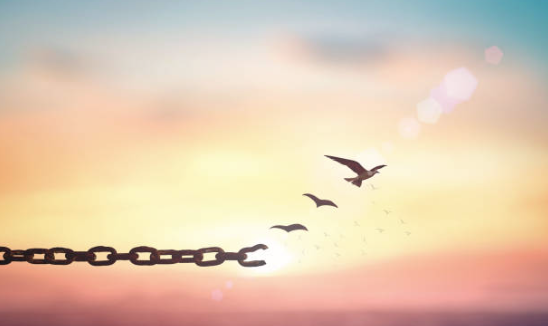 Why We Keep What Limits Us - and How Letting Go of False Safety Sets Us Free