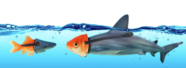 Habits are Assumptions in Disguise