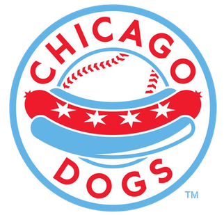 Join us at the Chicago Dogs game!