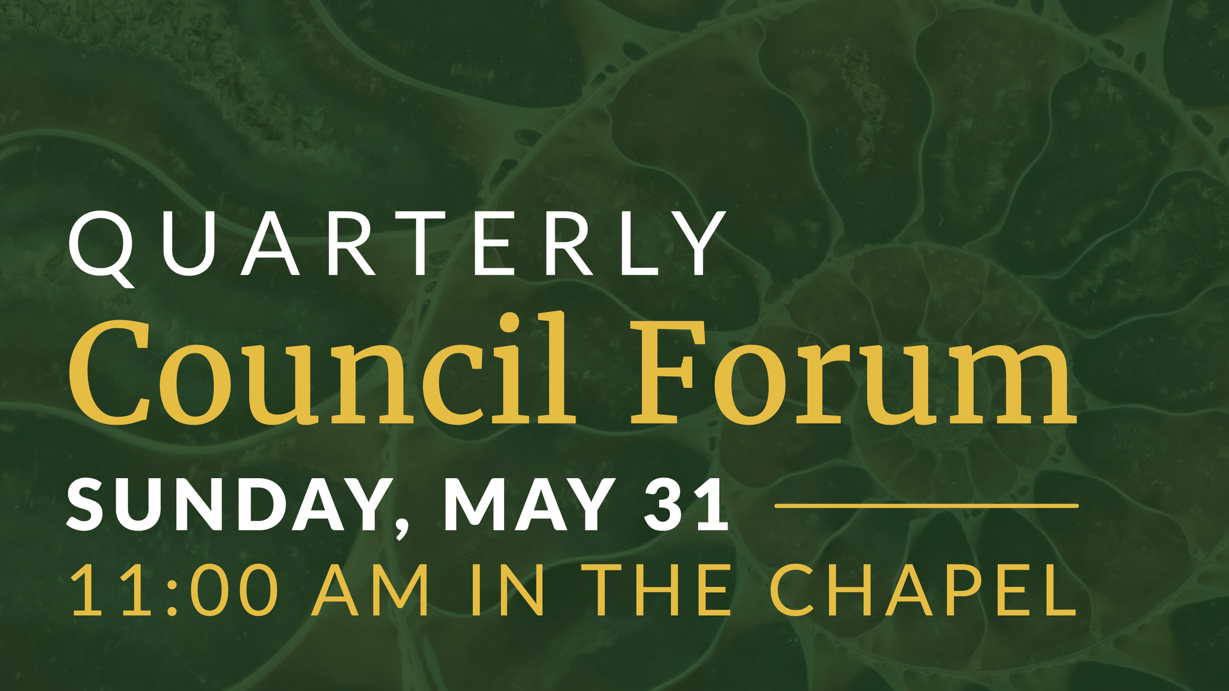 Quarterly Council Forum